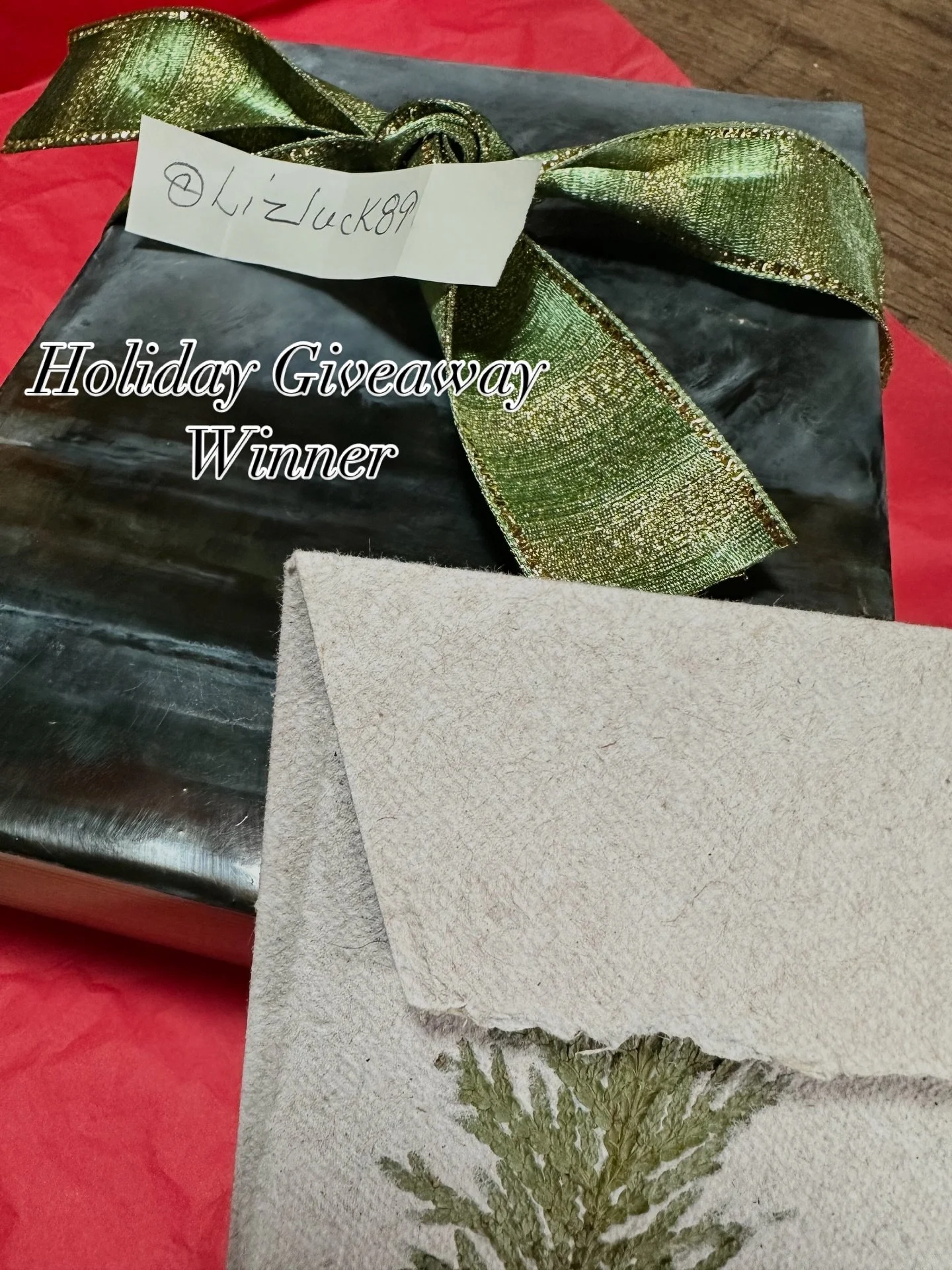 Thank you to everyone who entered my art holiday giveaway &mdash; I&rsquo;m so grateful for the support and connection this season brings. 🤍
The winner is @lizluck89 &mdash; congratulations, Liz! ✨
Wishing each of you a very happy and peaceful holid