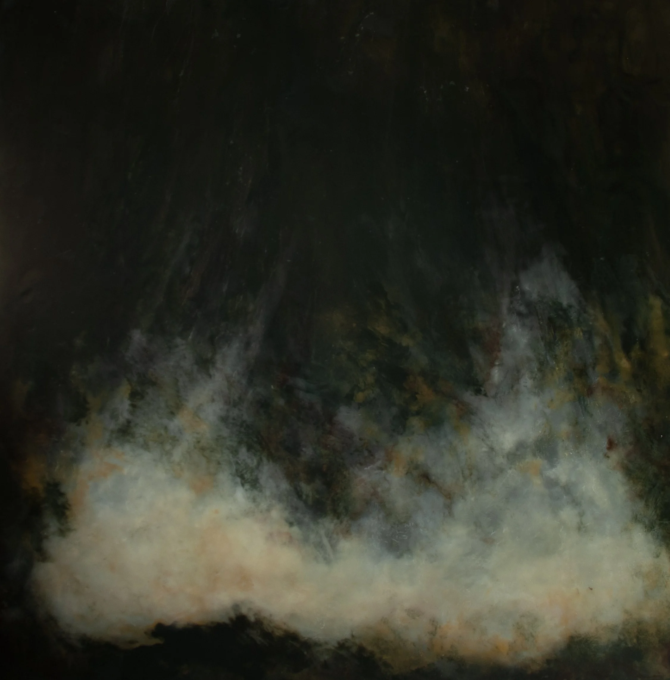 Amell_Kim_Lichen&Moss no1_Held Light_24x24.jpeg