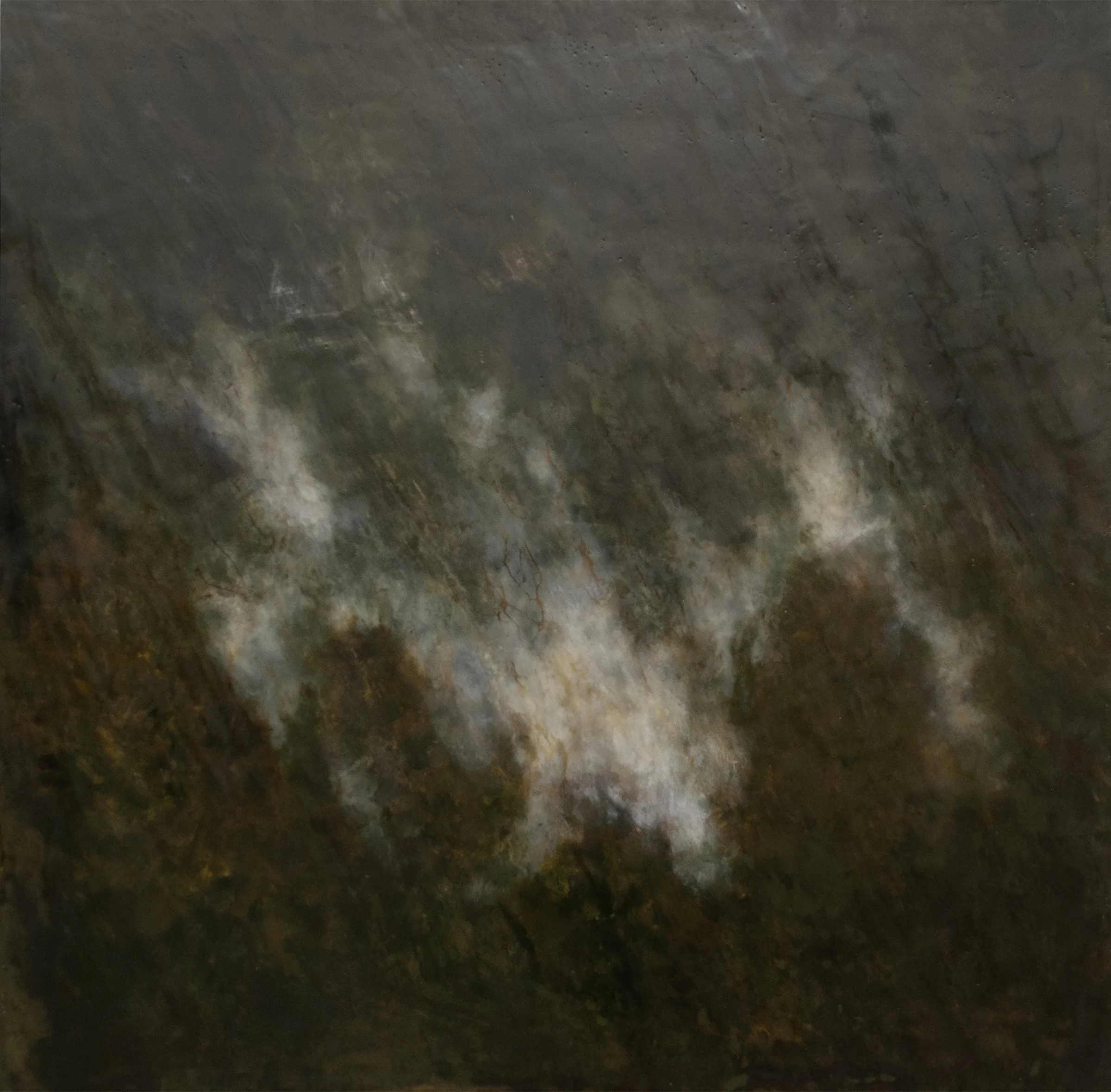 Lichen & Moss no. 2 _36x36 copy.jpg