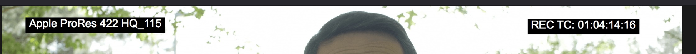 Data-Burn-In-on-Screen-1.jpg