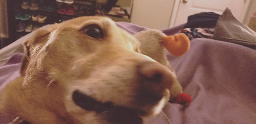 ARE YOU AWAKE?!?!?!? HELLOOOOOOOO!