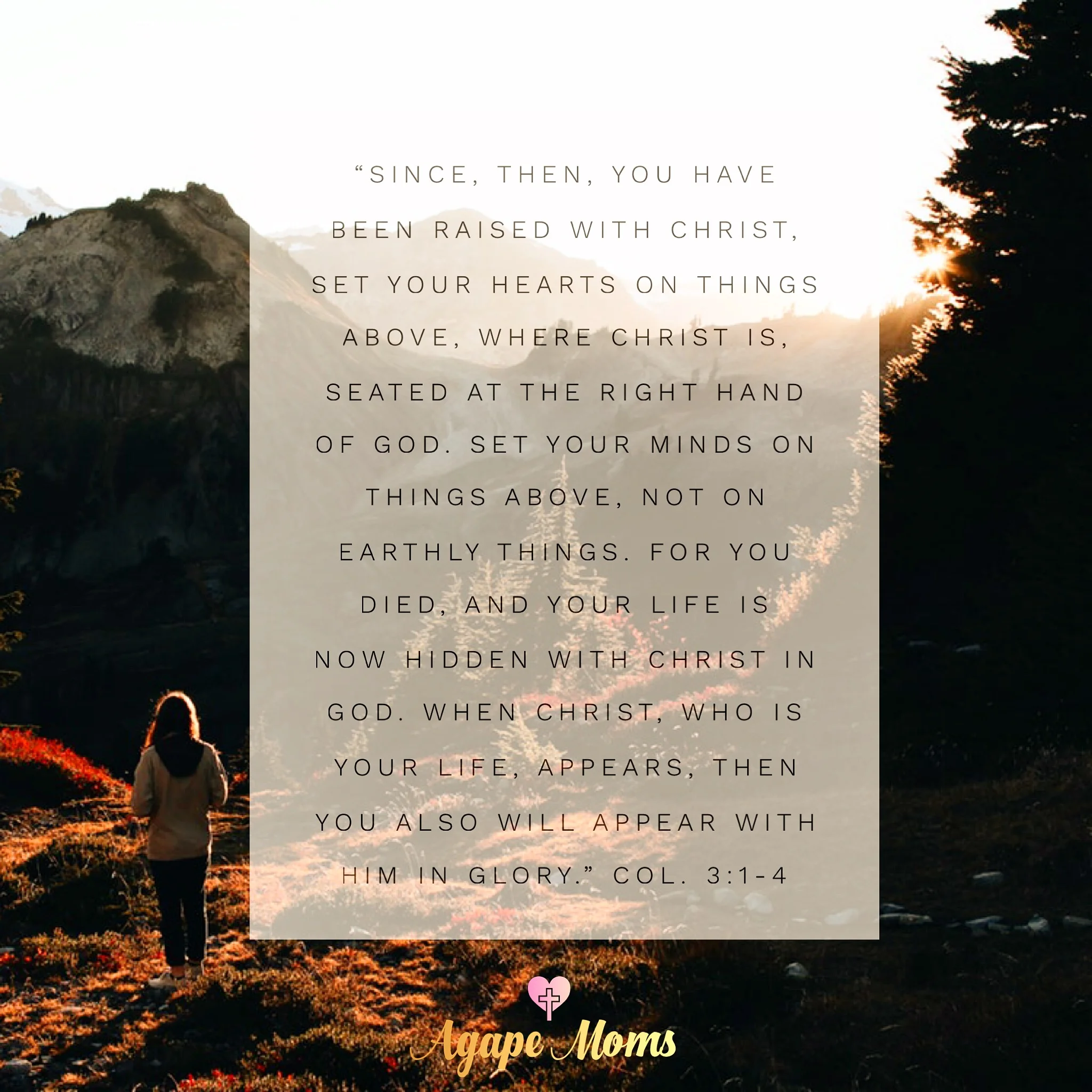 Thanksgiving in Light of the Gospel