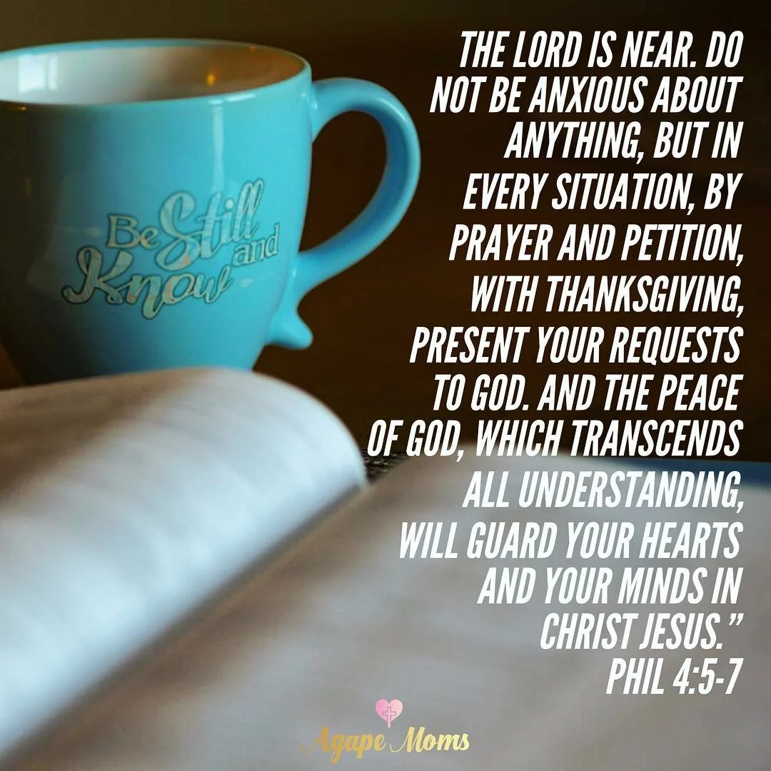 When Fear is Crippling, God’s Word Anchors Our Hearts 