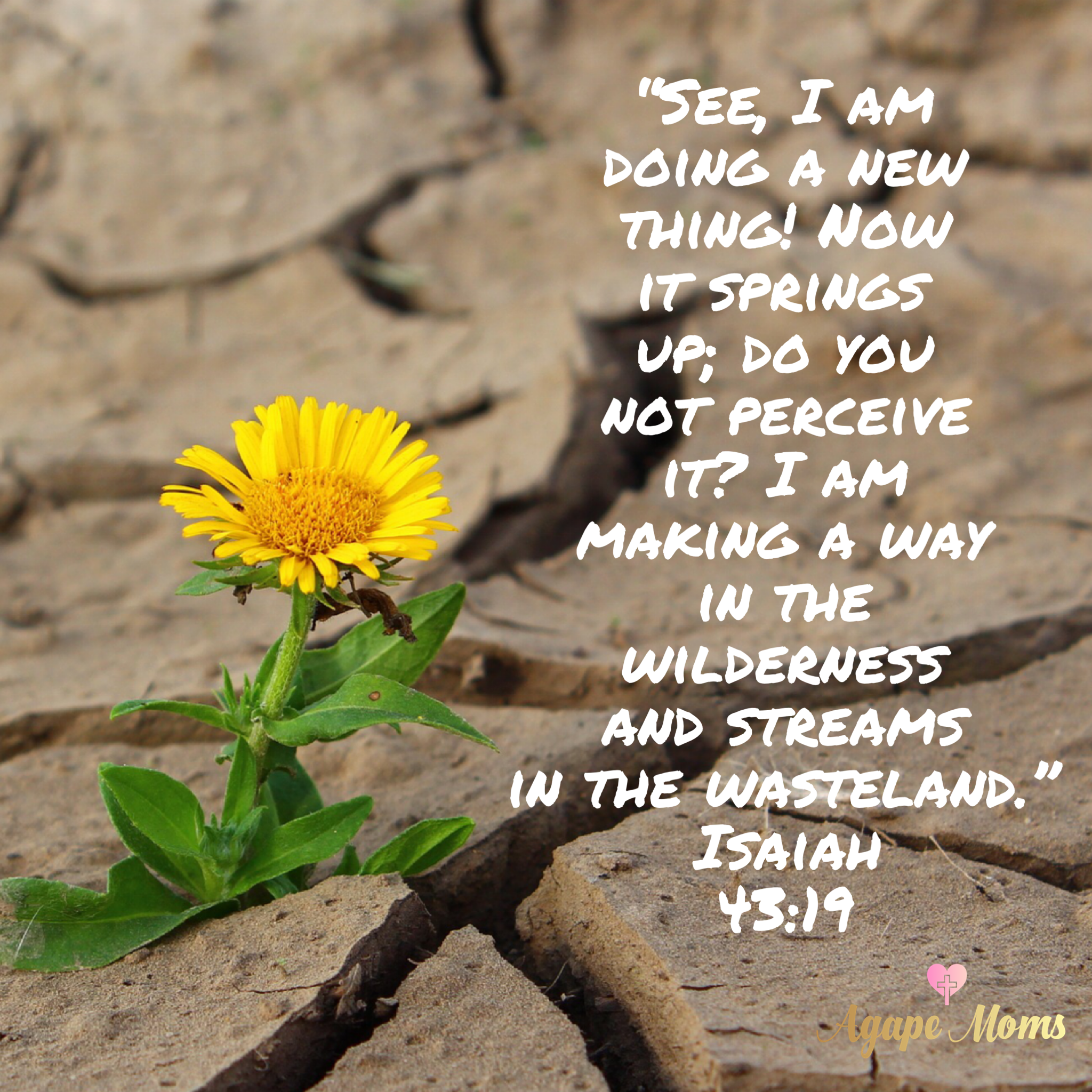 Fix Your Hope on The Unchanging God