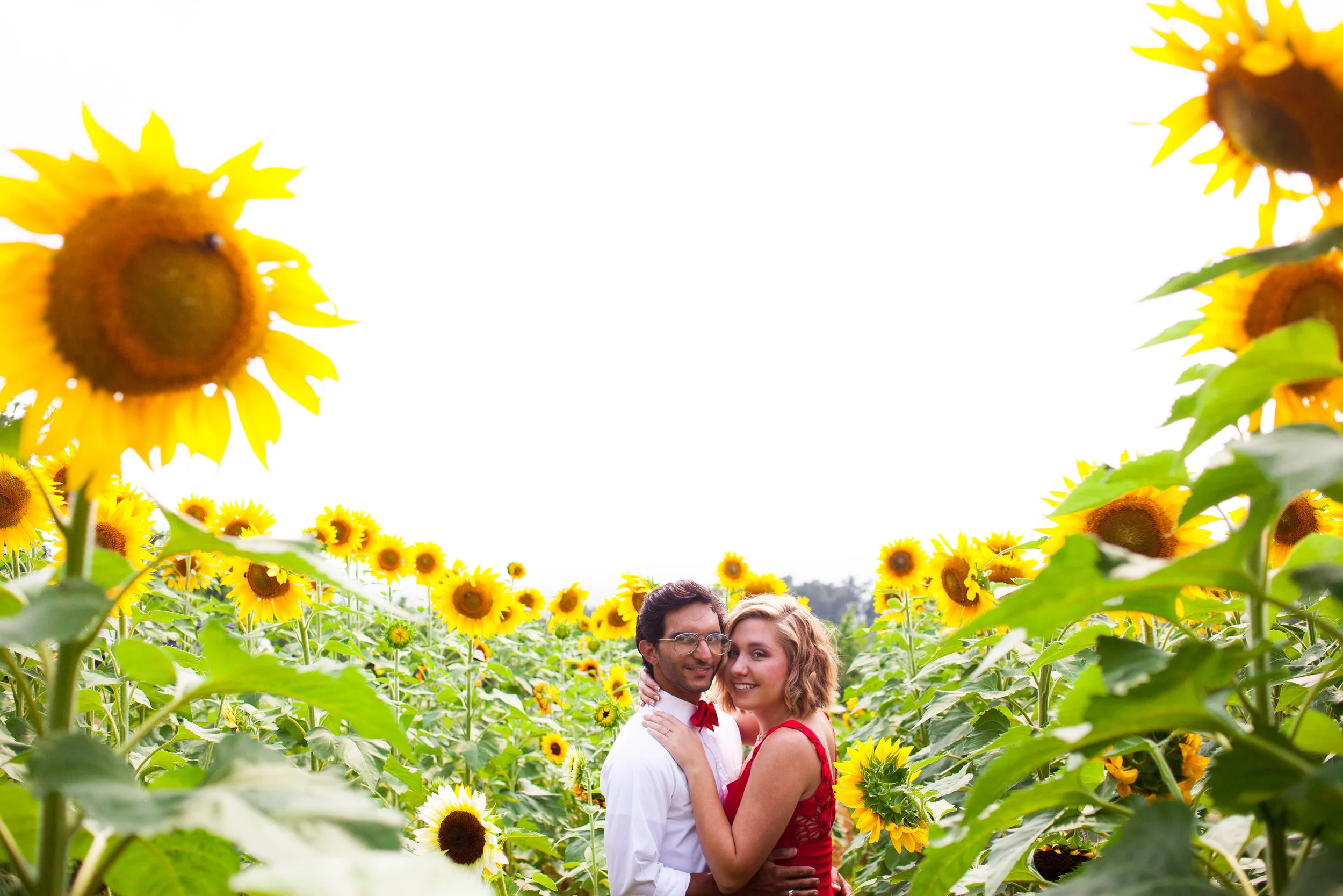 danielle-arron-engaged-seamans-orchard-8003.JPG