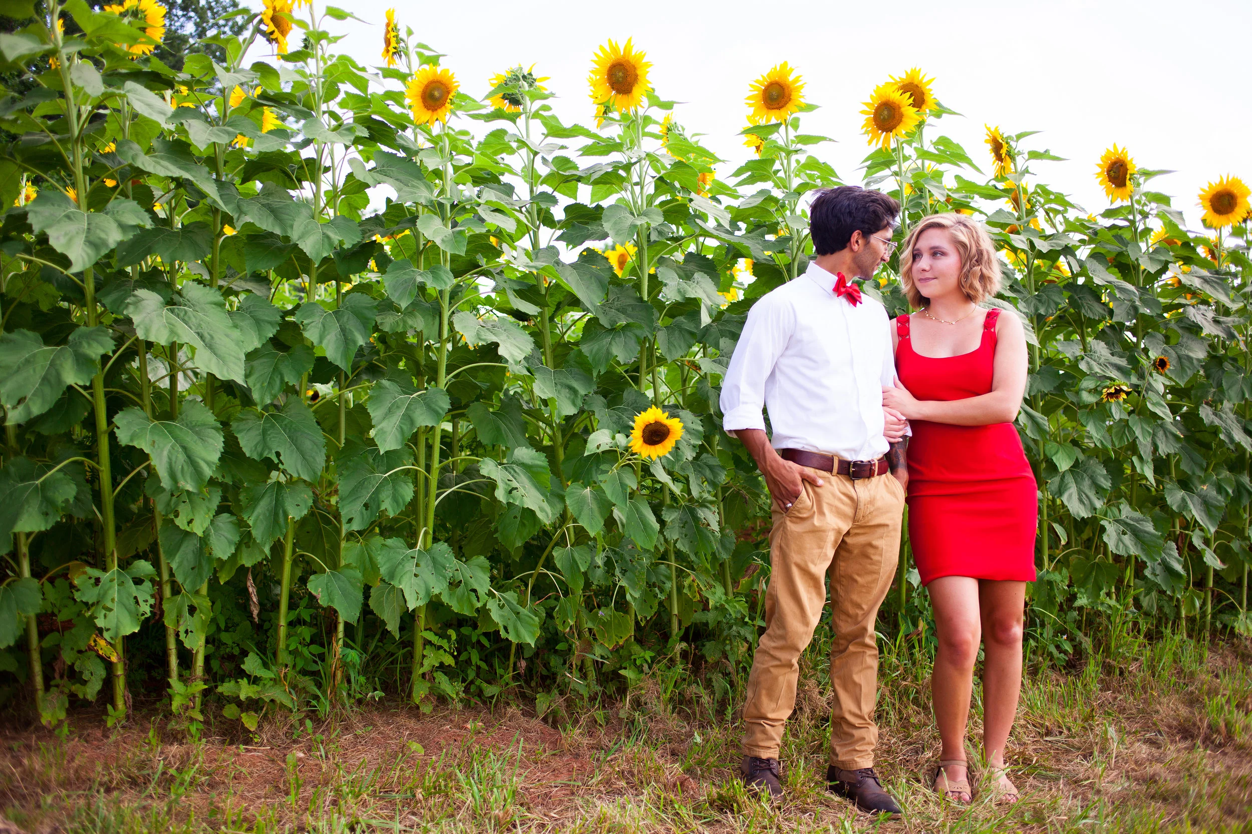 danielle-arron-engaged-seamans-orchard-8196.JPG