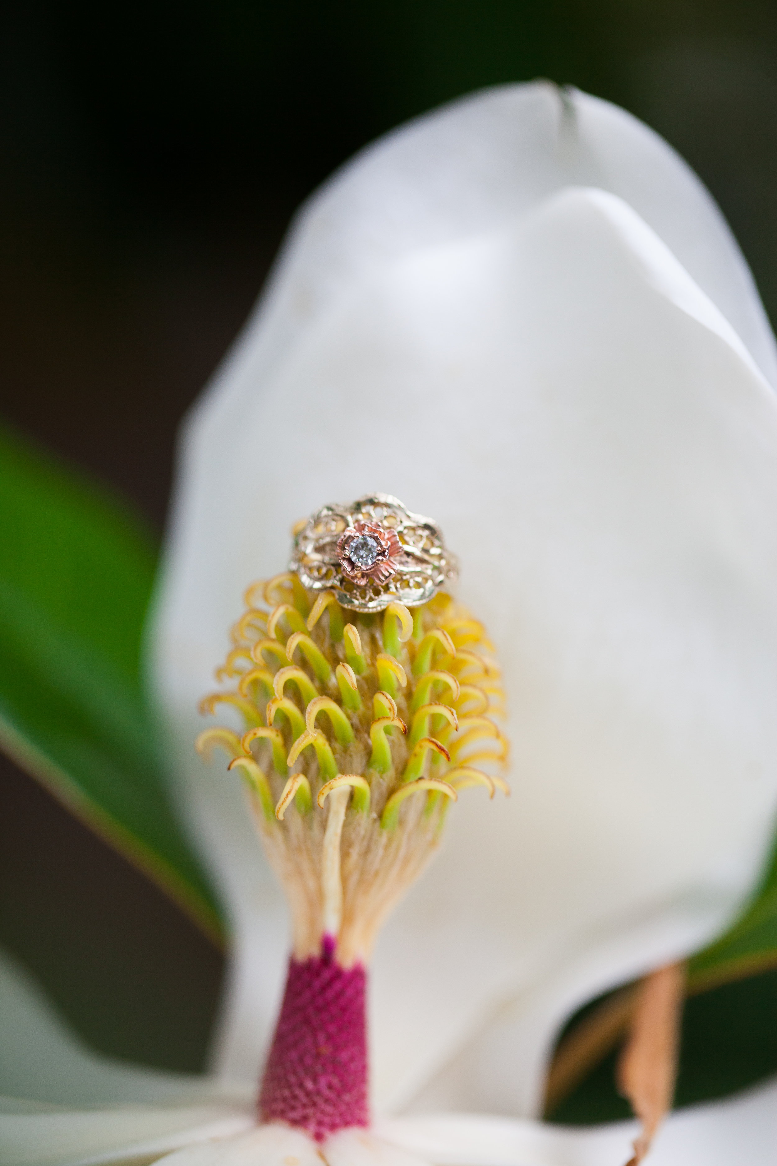 sweet-briar-engagement-session-allison-phil-58.JPG