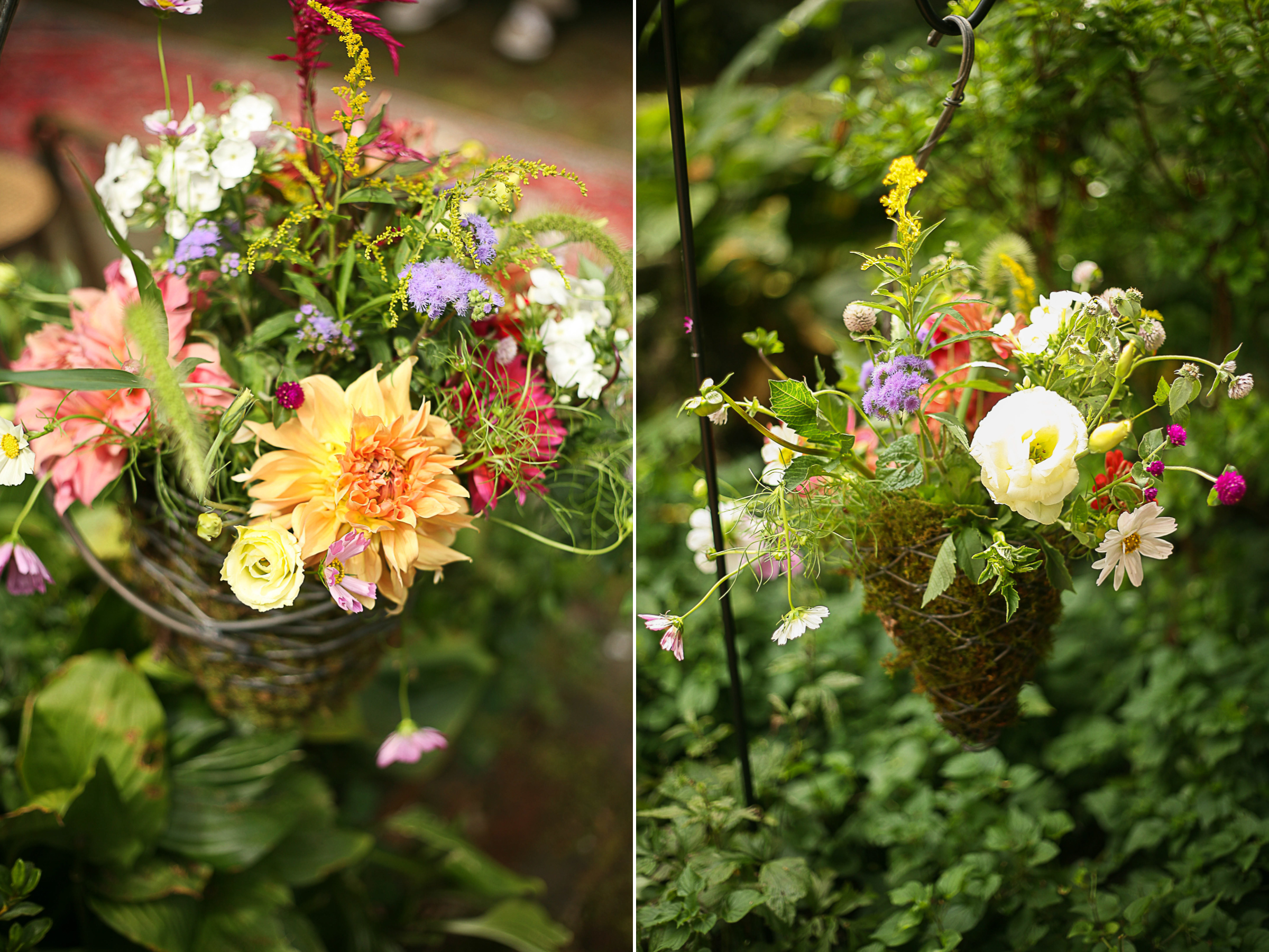 chris-carly-backyard-boonsboro-wedding-collage1.jpg