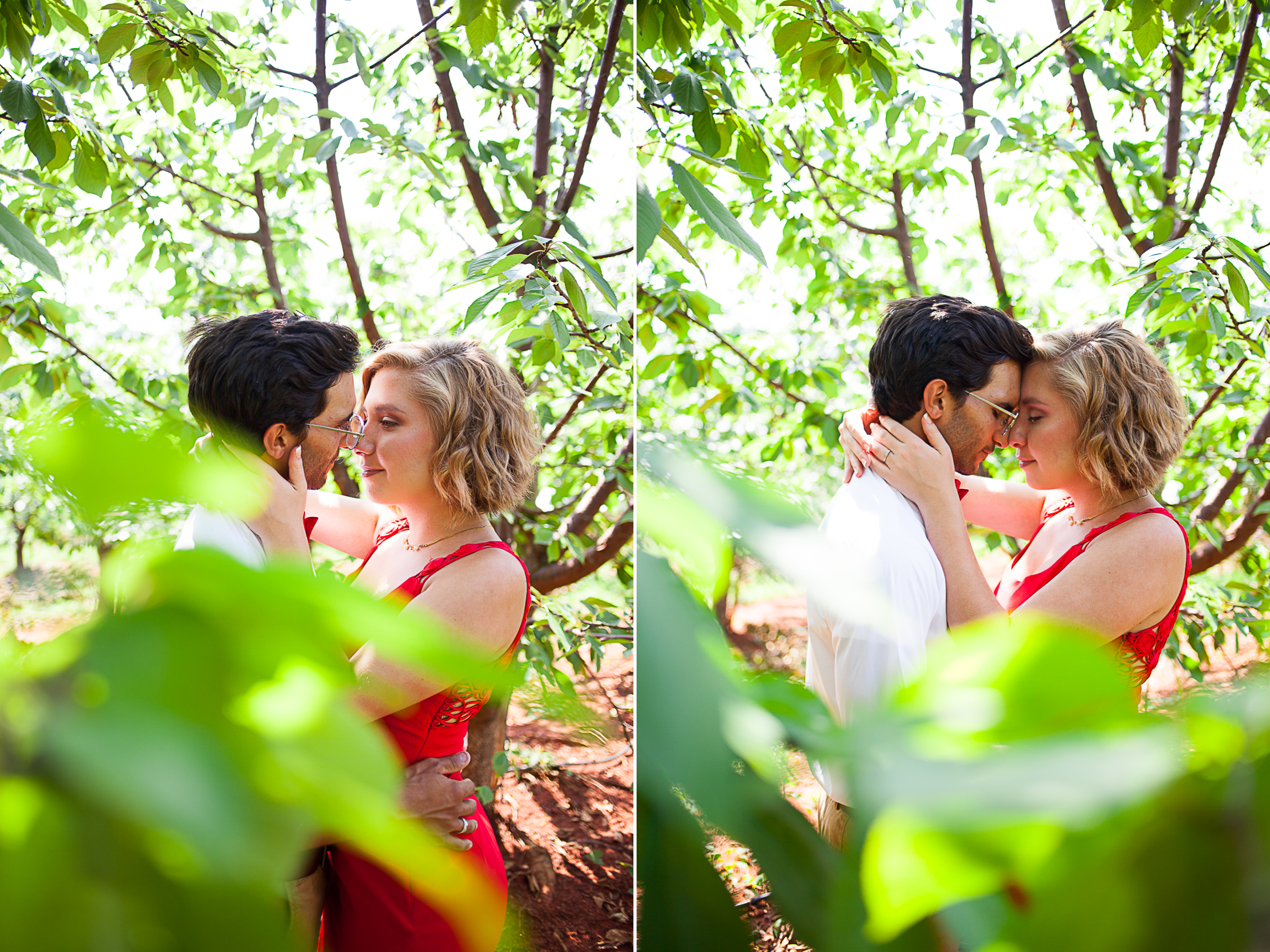 danielle-aaron-engaged-seamans-orchard-collage4.jpg