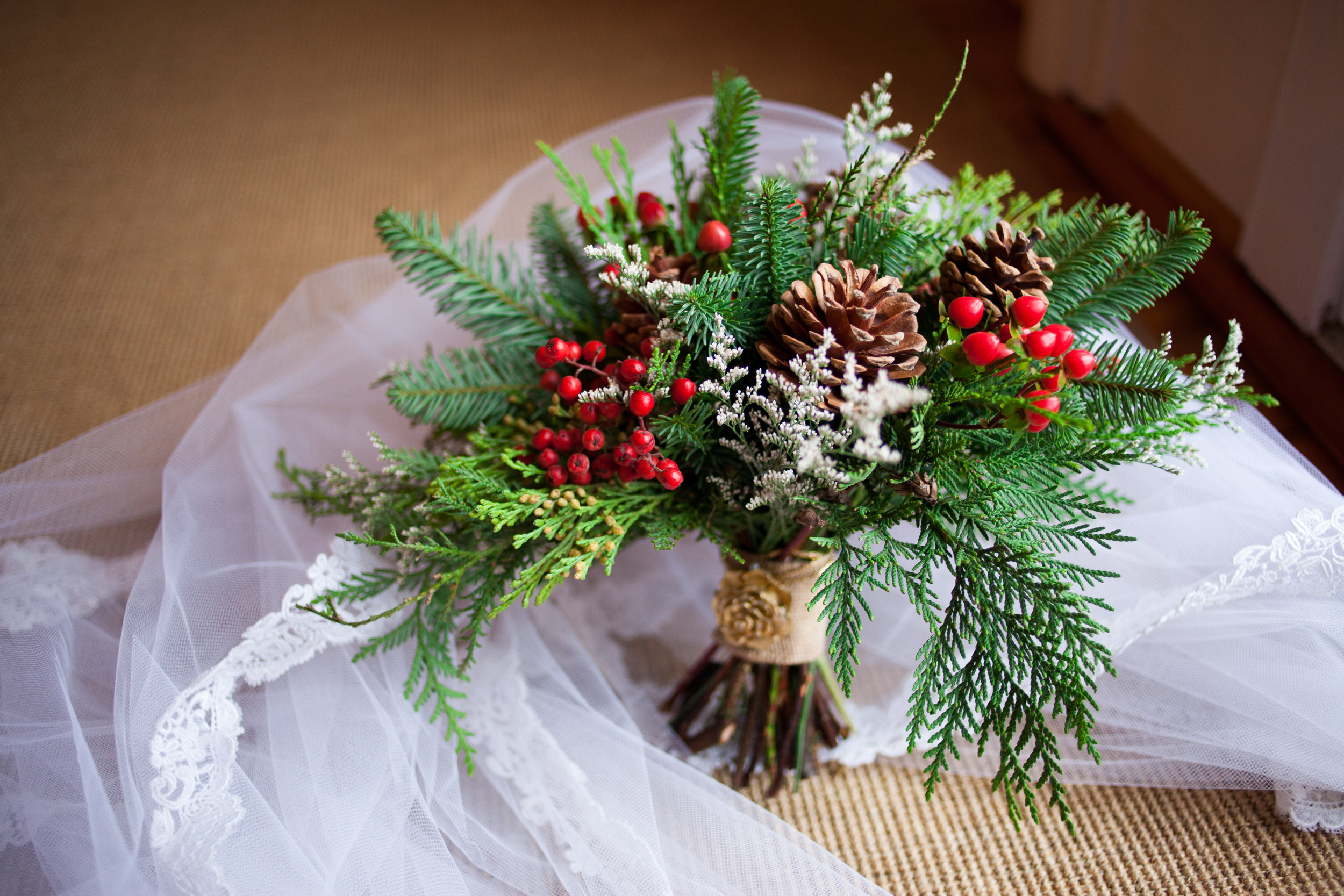 brittany-trevor-trivium-christmas-wedding--11.JPG