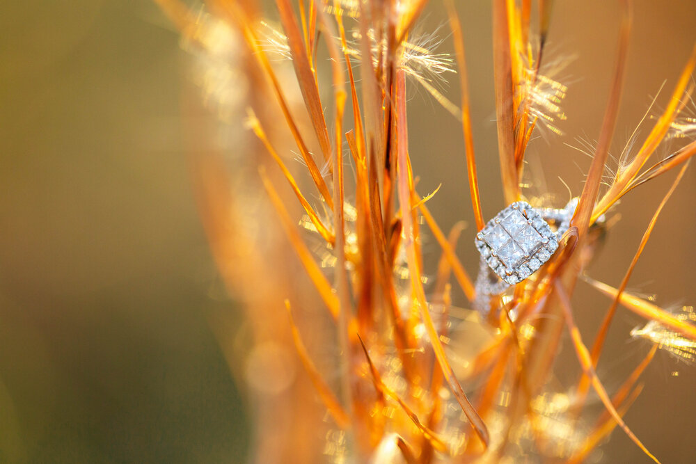 kate-and-brendan-engaged-5387.jpg