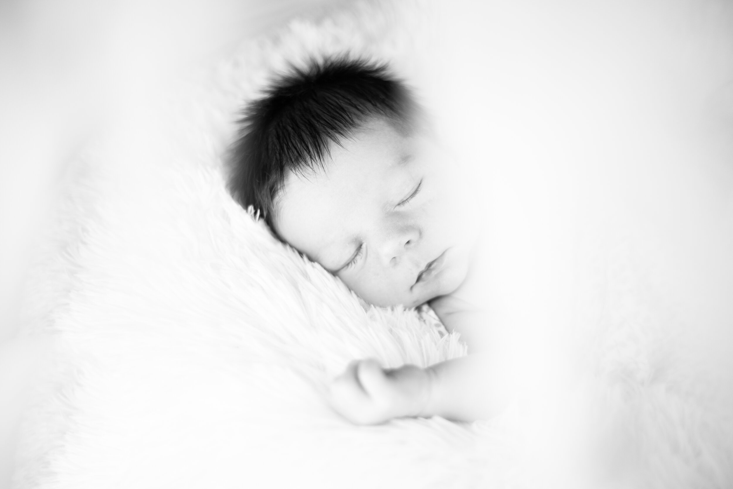levi-newborn--8.JPG