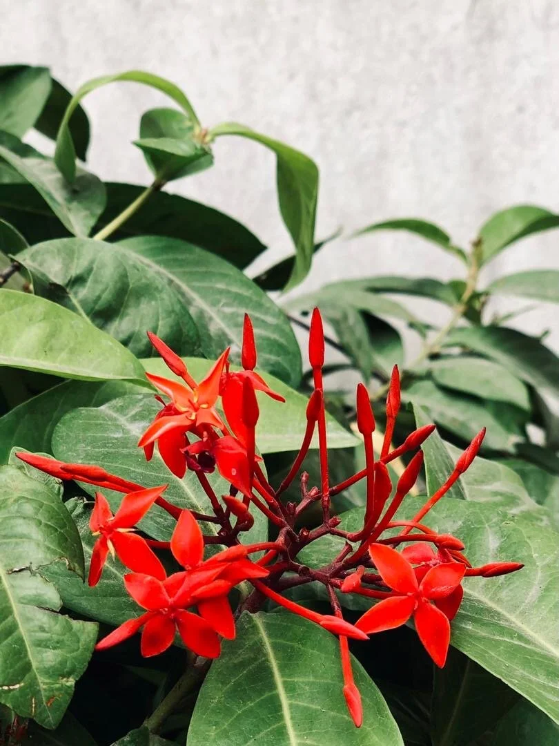 E A R T H /// H E A R T /// vol. 9