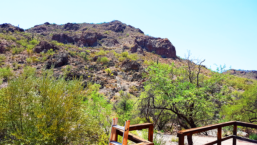 sonoran room view 4.png