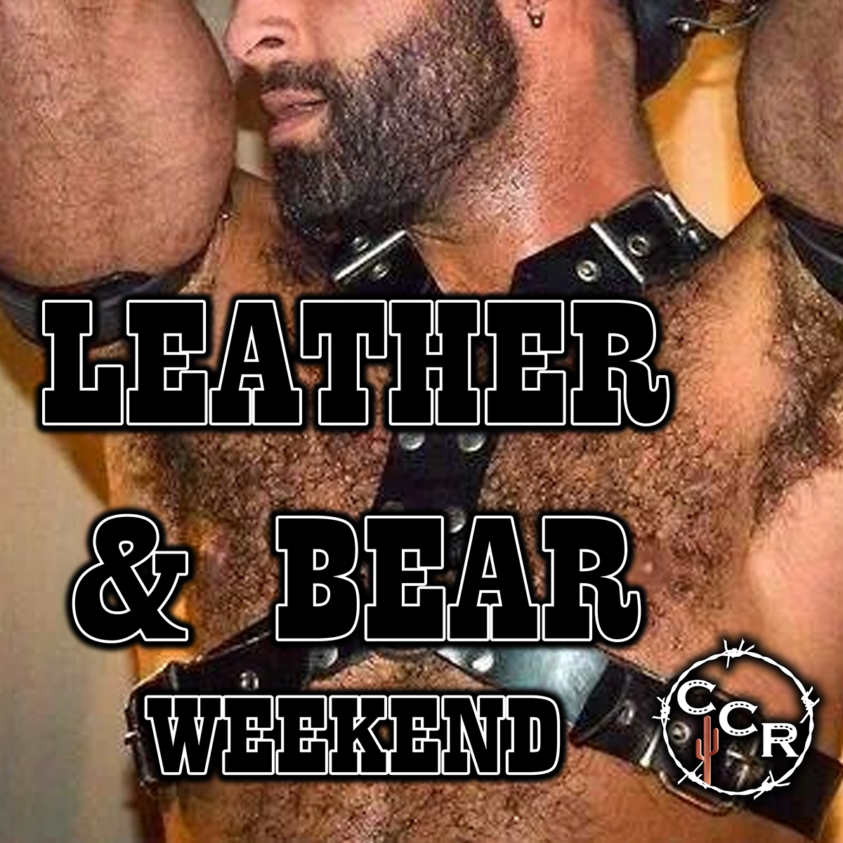 leather bear.png