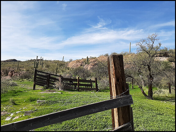 Copper Cactus Ranch Grass.jpg