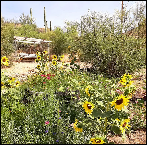 Copper+Cactus+Ranch+Flowers.jpg