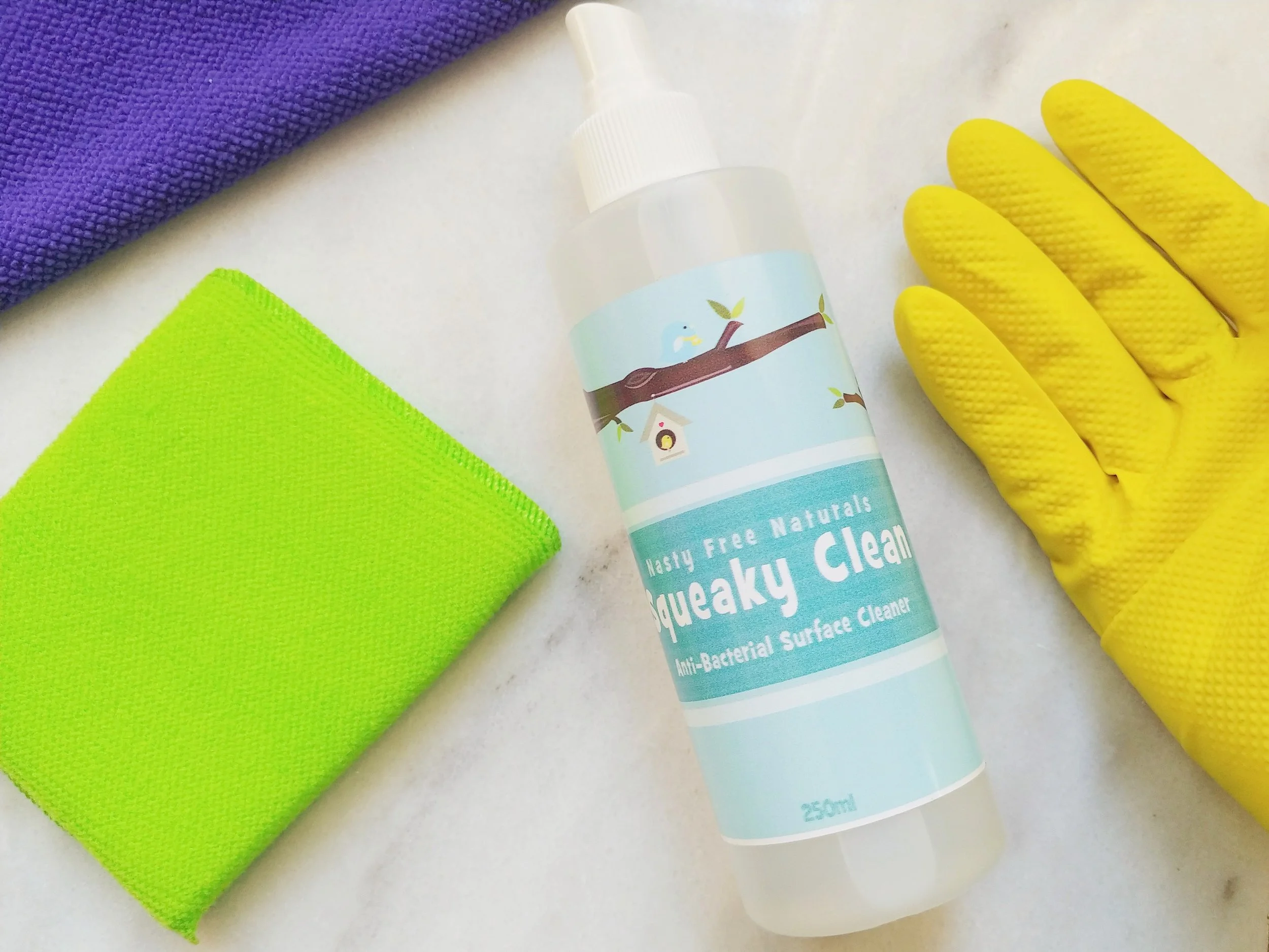 Anti Bacterial Cleaner from Nasty Free Naturals in Port Moody, BC