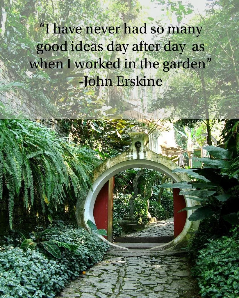 John Erskine — House Plant Hobbyist