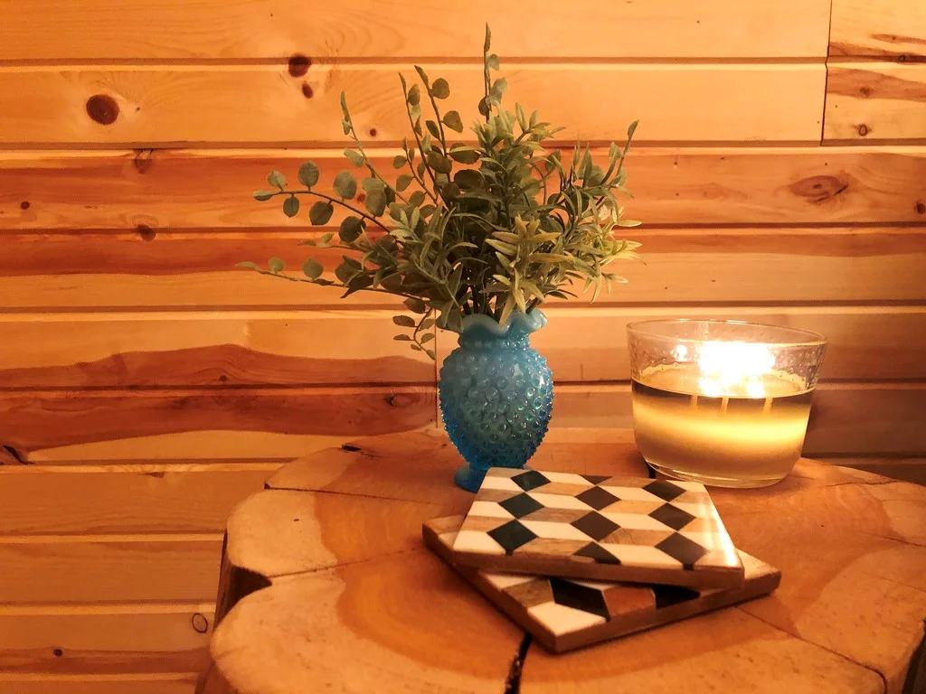 Top 10 Plants For Windowless Bathrooms — House Plant Hobbyist