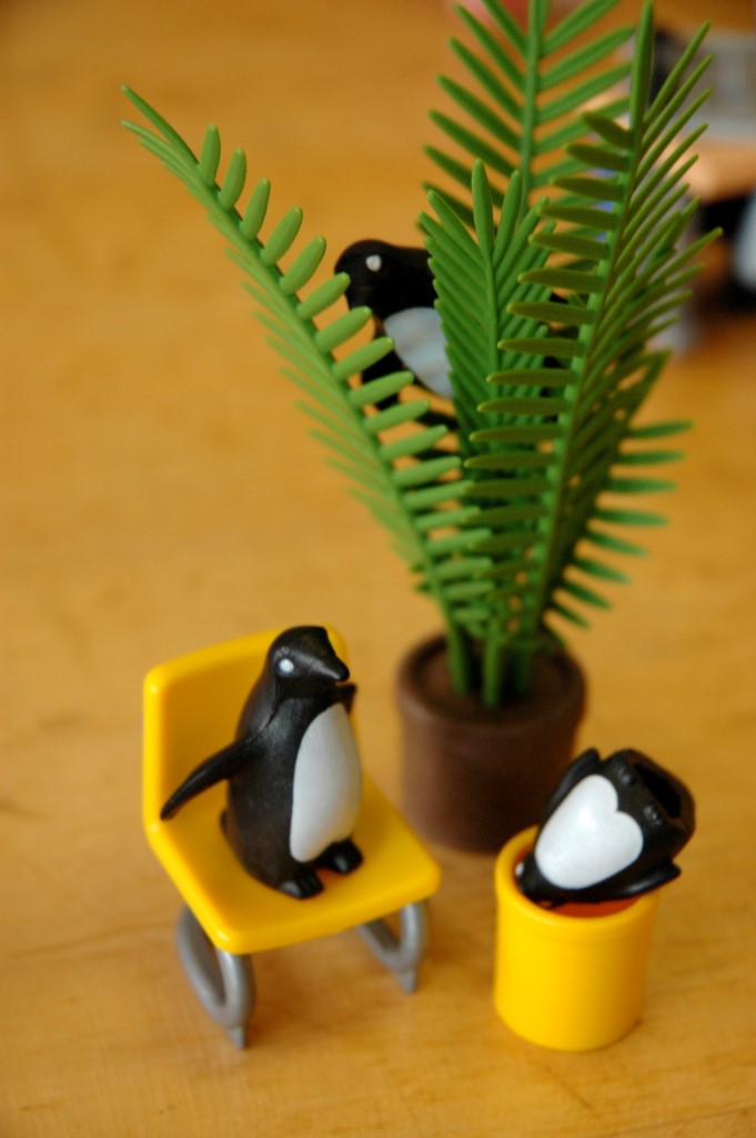 Top 10 Plants For Windowless Bathrooms — House Plant Hobbyist