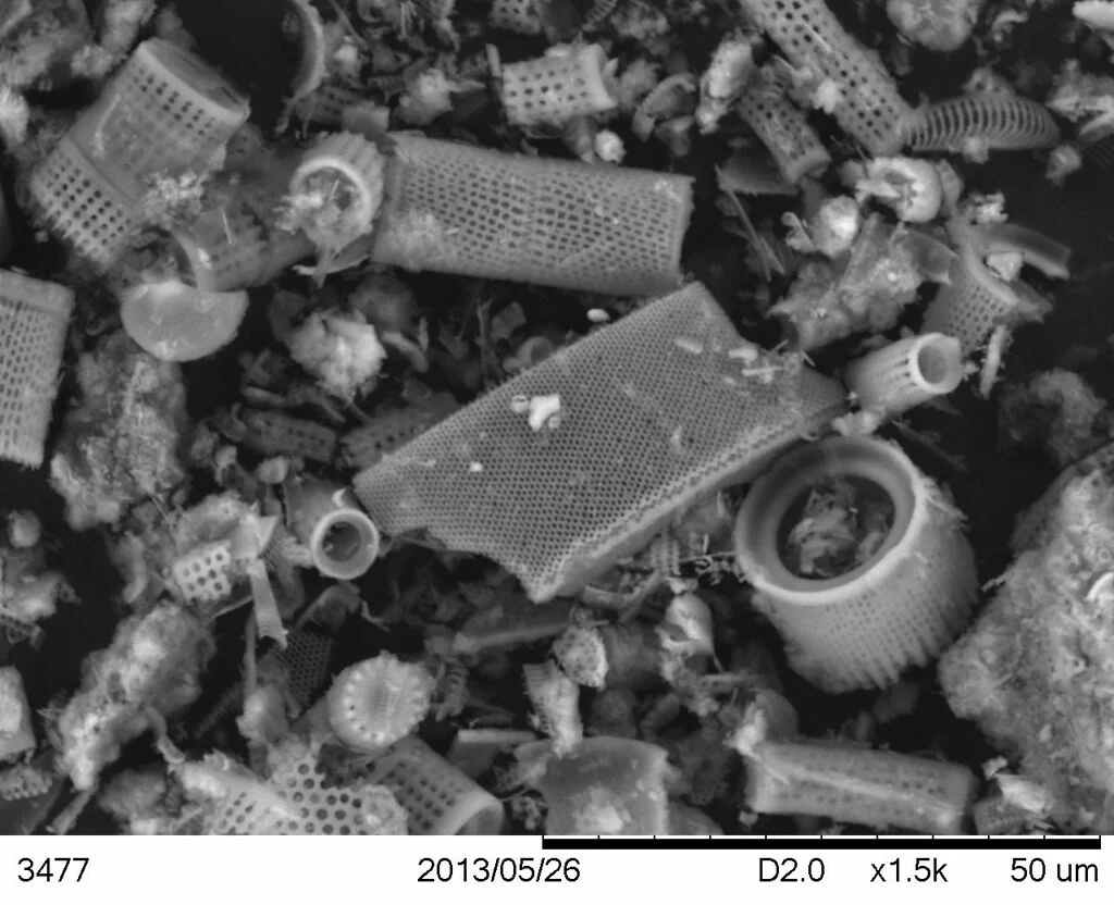 diatomaceous earth.jpg