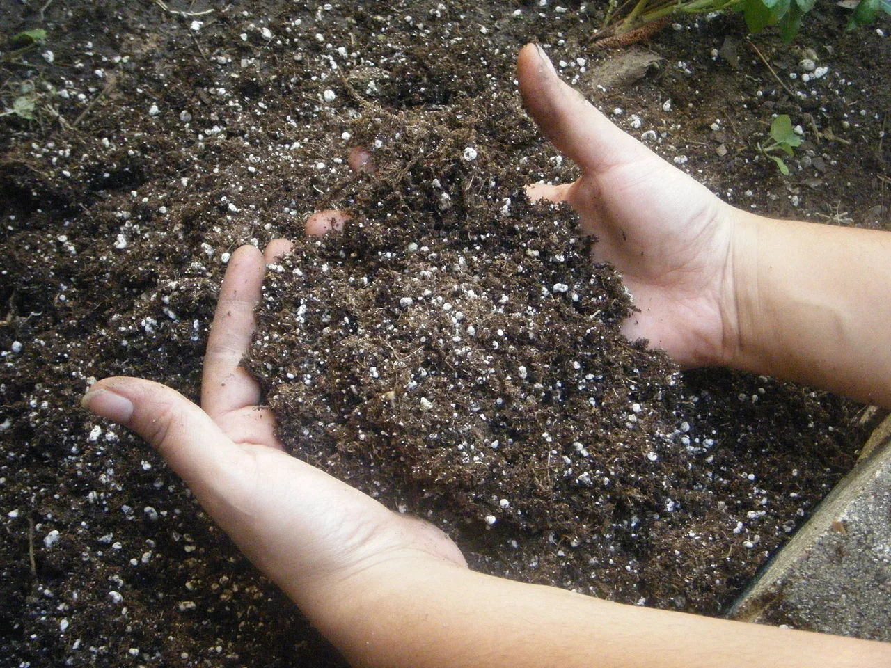 1280px-HandsInSoil.jpg