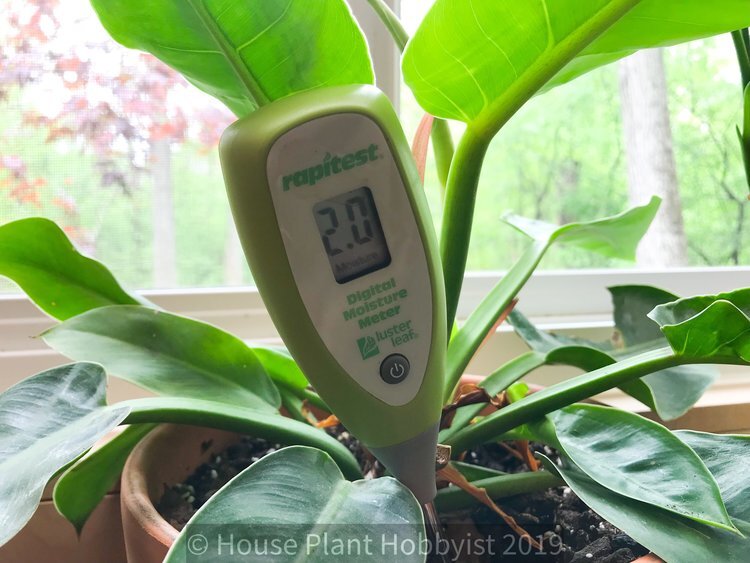 House Plant Hobbyist Gift Guide 2019 — House Plant Hobbyist