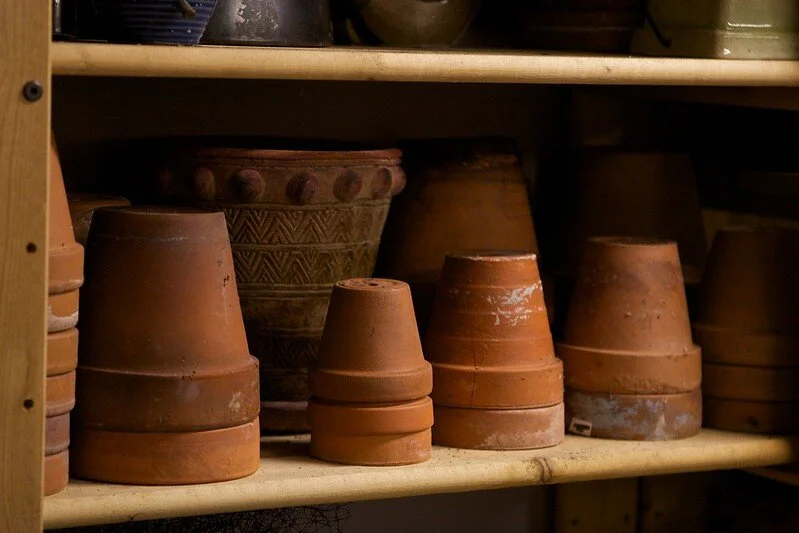 House Plant Hobbyist Gift Guide 2019 — House Plant Hobbyist