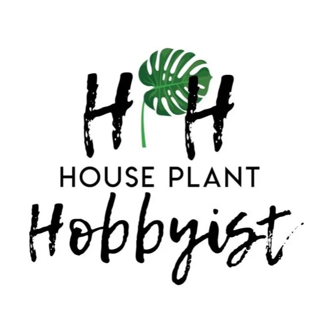 1 Botanical Baby Names House Plant Hobbyist