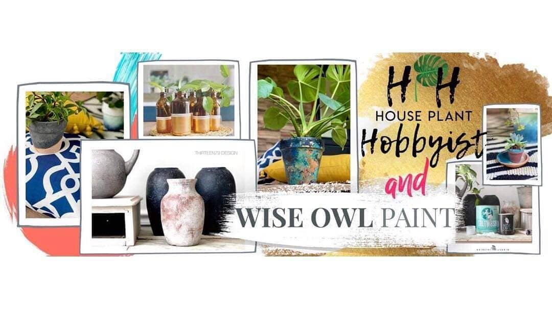 Heads up, House Plant Hobbyist Facebook group members! We have something super exciting to share with you. We're teaming up with the lovely ladies of @wiseowlpaint and @saltwashofficial for a week-long takeover of

💚fun tutorials
💚creative inspo
💚