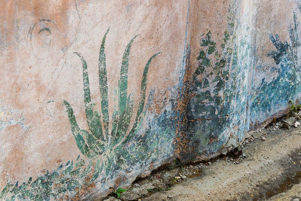 Painted plants fresco Pompeii Italy
