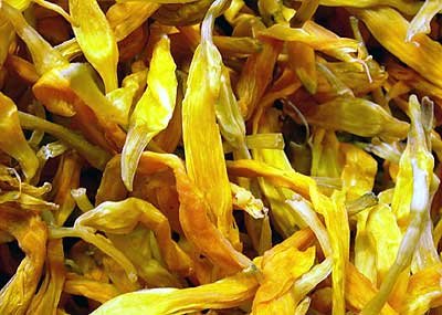 Dried Daylily 