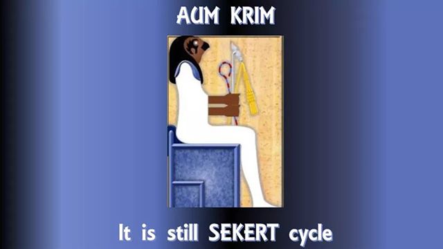 The subjection of the existence of all things to cyclical revolutions, which is governed by the “deity” (divine faculty) Khepere, divides their life term into two fundamental phases. Birth (rebirth)/growth, and decay/death (rebirth into the plane of origin!). Thus we achieve an infinitude of experiences through an infinite chain of finite existences.
The phase of birth (rebirth) is under the dominion of Khepere (Aima, the fertile mother in the Canaanite tradition), while the phase of decay and death is symbolized by the Hennu or Af (dead flesh) boat in which travels the “aged Ra” (Ama, the dreaded sterile mother, and Kali). Khepere or Aima brings all things into manifestation through the 50 sound units of power residing in the 3rd sphere. These sound units, which are the basis of all hekau, are metaphorized as the eggs of the beetle symbolizing Khepere, the 50 gates of Binah, the 50 skulls strung as the necklace of Kali (the Indus Kush Seker), the 50 oarsmen propelling the boat of Ausar, and they are analogous to the 500,000 or so eggs that every woman is born with. At this level, these spiritual powers do not manifest the things of which they are the germs, but the underlying structure (divine plan) that provides the order governing the harmonious interaction of the forces shaping the formation of things, and their interaction. These structures appoint the places in space and time ordering all manifestations. Incidentally, because it’s creative function corresponds to the female gender, which the Canaanite tradition supports (the Goddess Aima), this deity often appears (possesses) in its female form when invoked. As such, her name is Sekert.