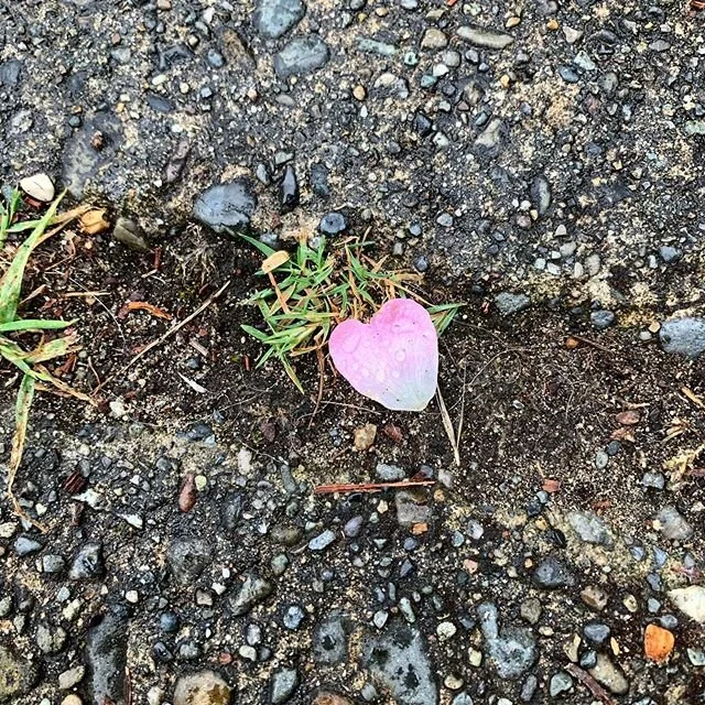 💖