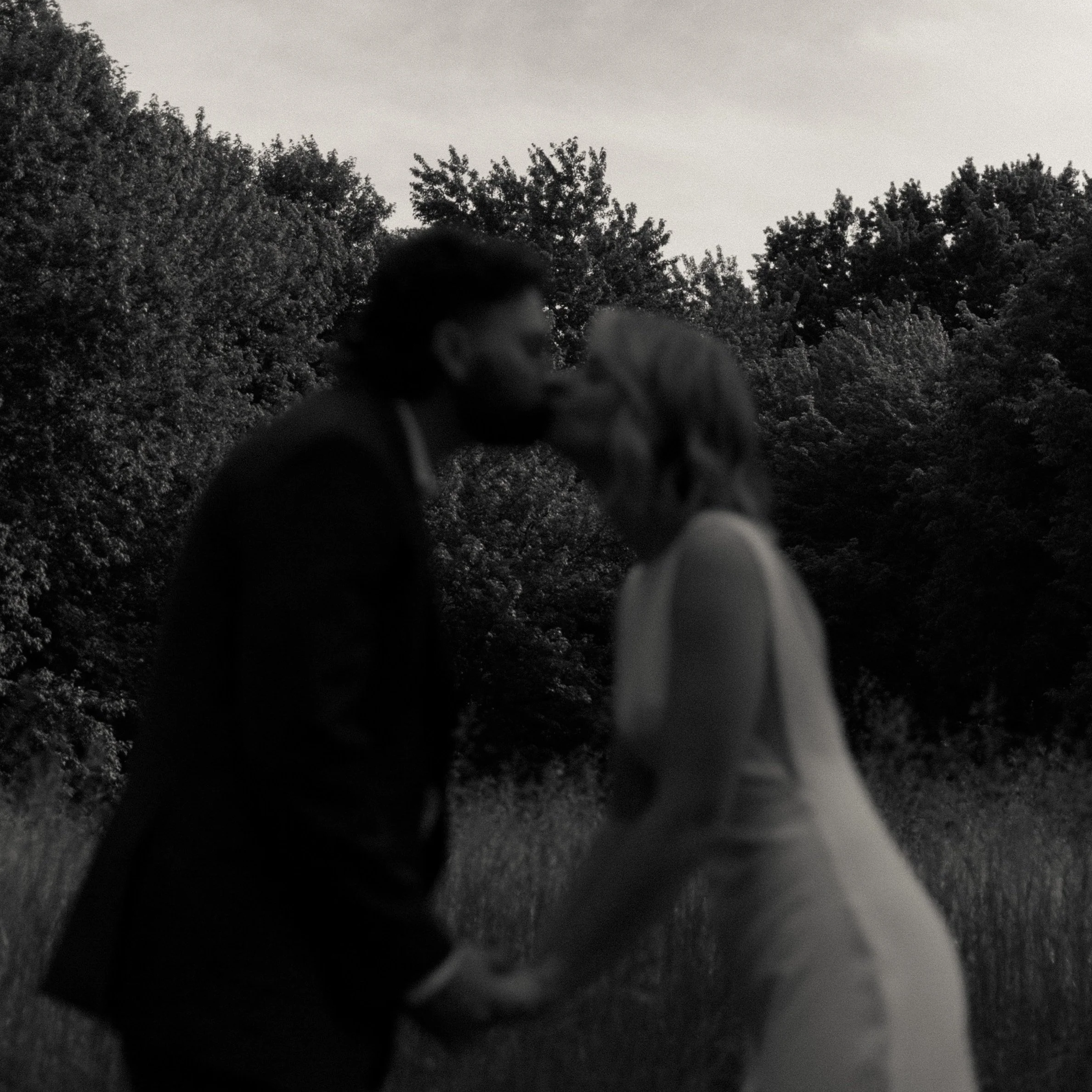 A Sweet Wedding Under the Willow Trees - Sarah &amp; Connor