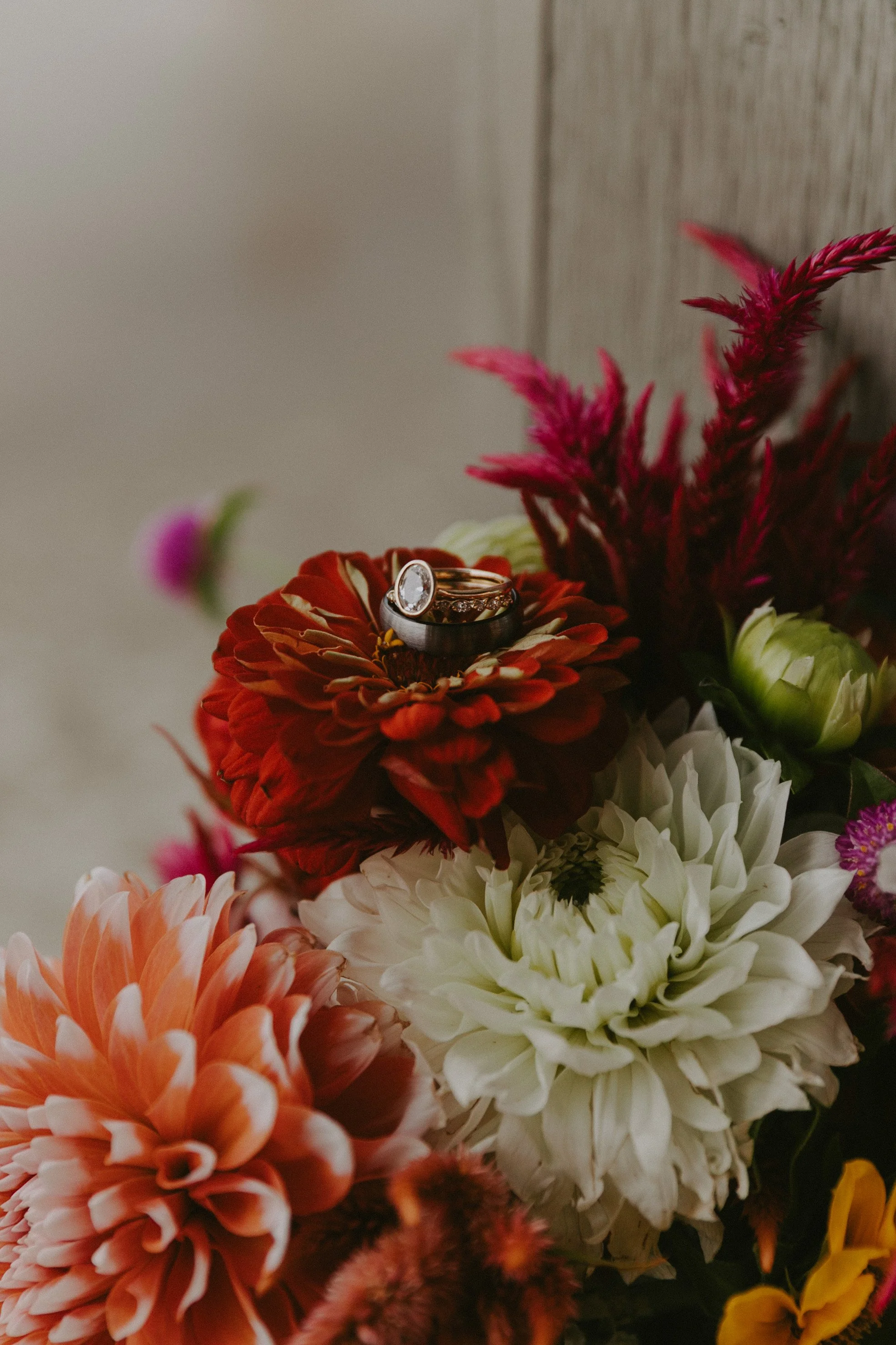 Brie_Michael_Wedding-193.jpg