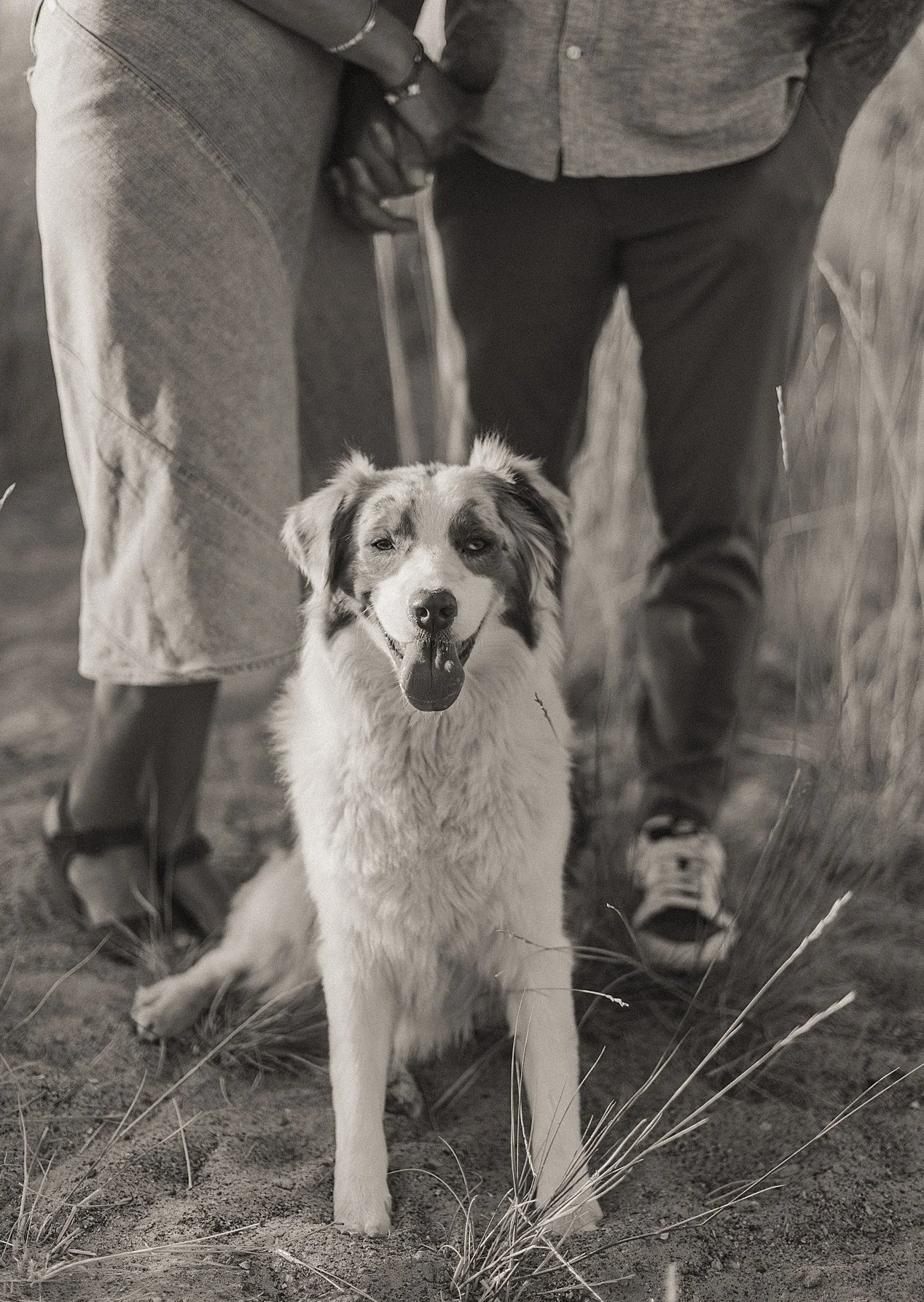 KenziPetersonPhotography_TwinFallsPhotographer_TwinFallsFamilyPhotographer_7807.jpg