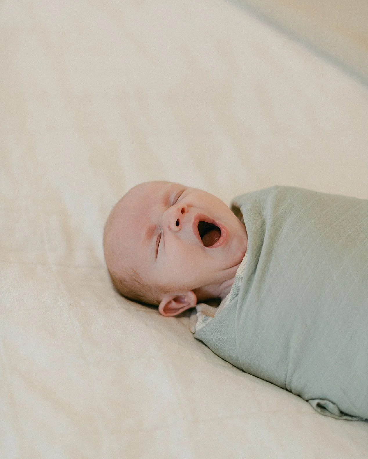 KenziPetersonPhotography_TwinFallsPhotographer_TwinFallsFamilyPhotographer_8356.jpg