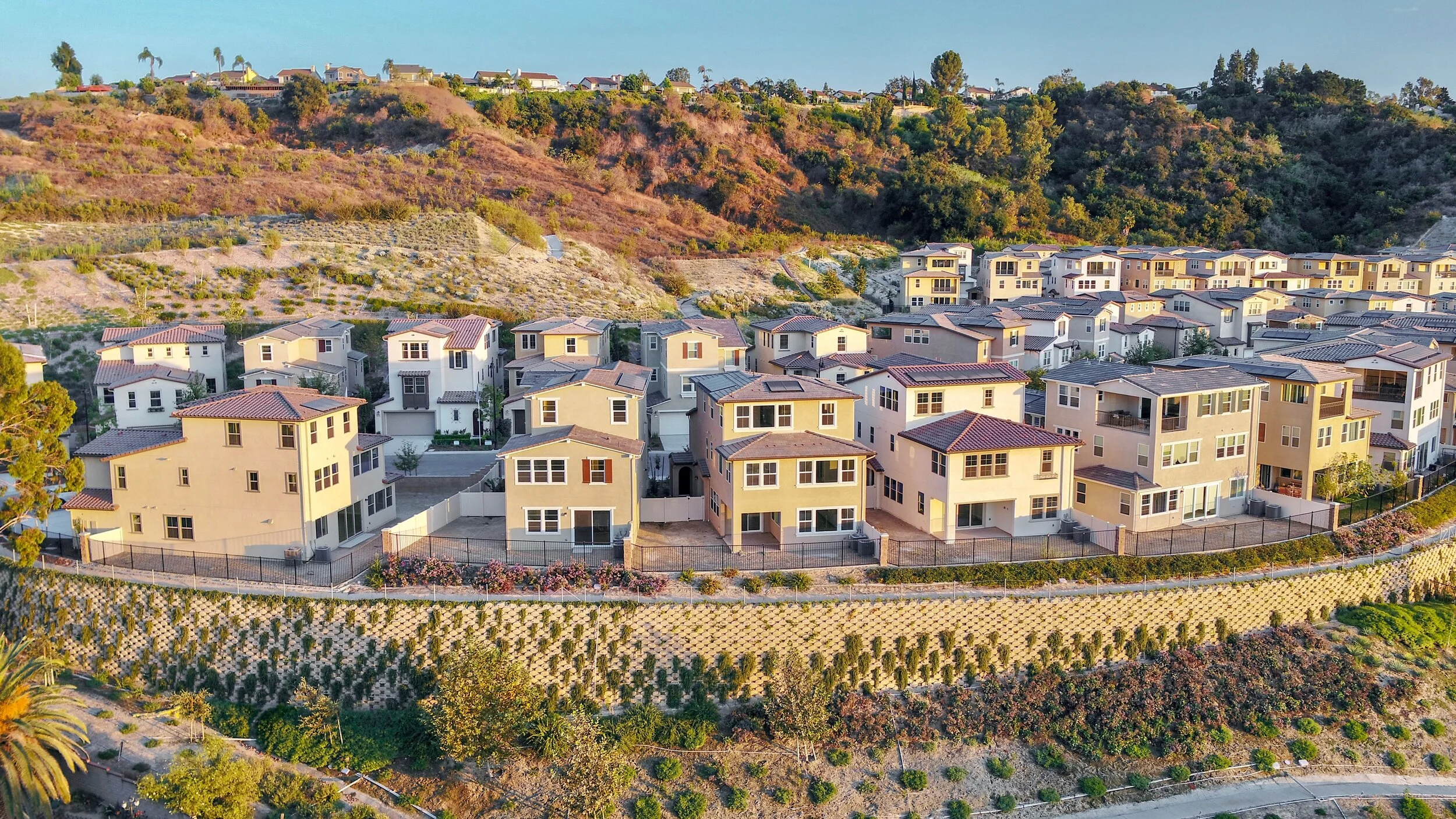DJI_0965.jpg