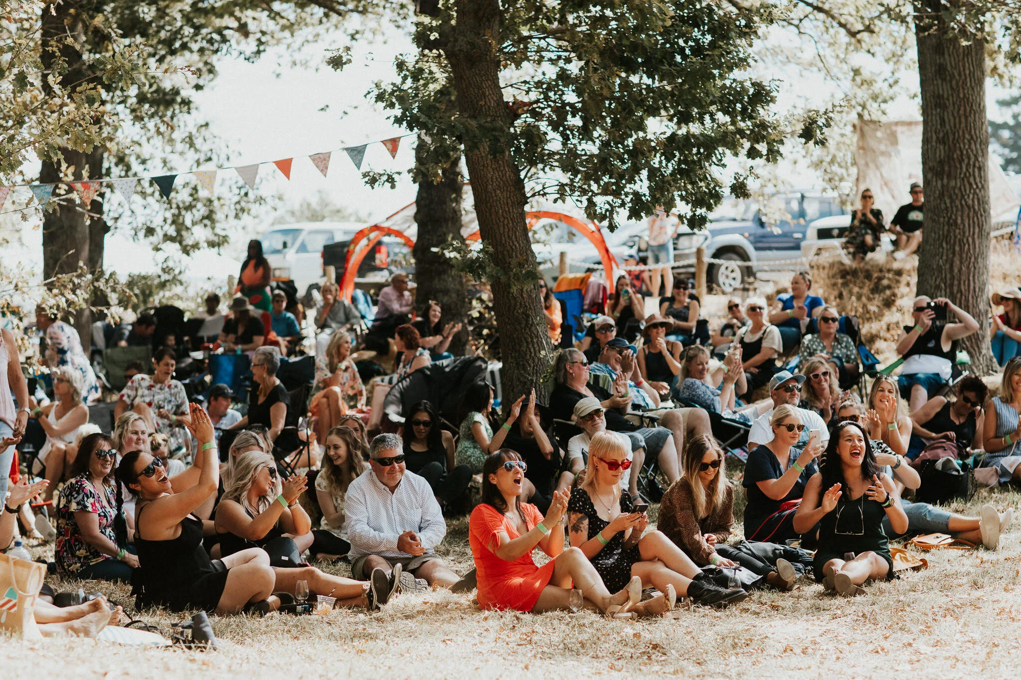festival-audience-trees-bunting.jpg