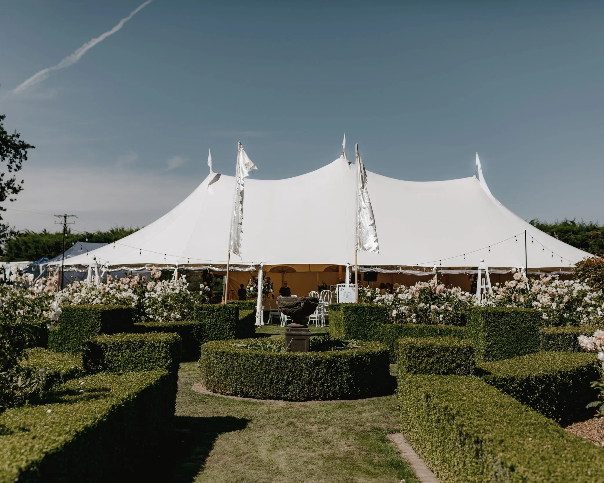 White wedding marquee overlooking formal garden hedges and roses