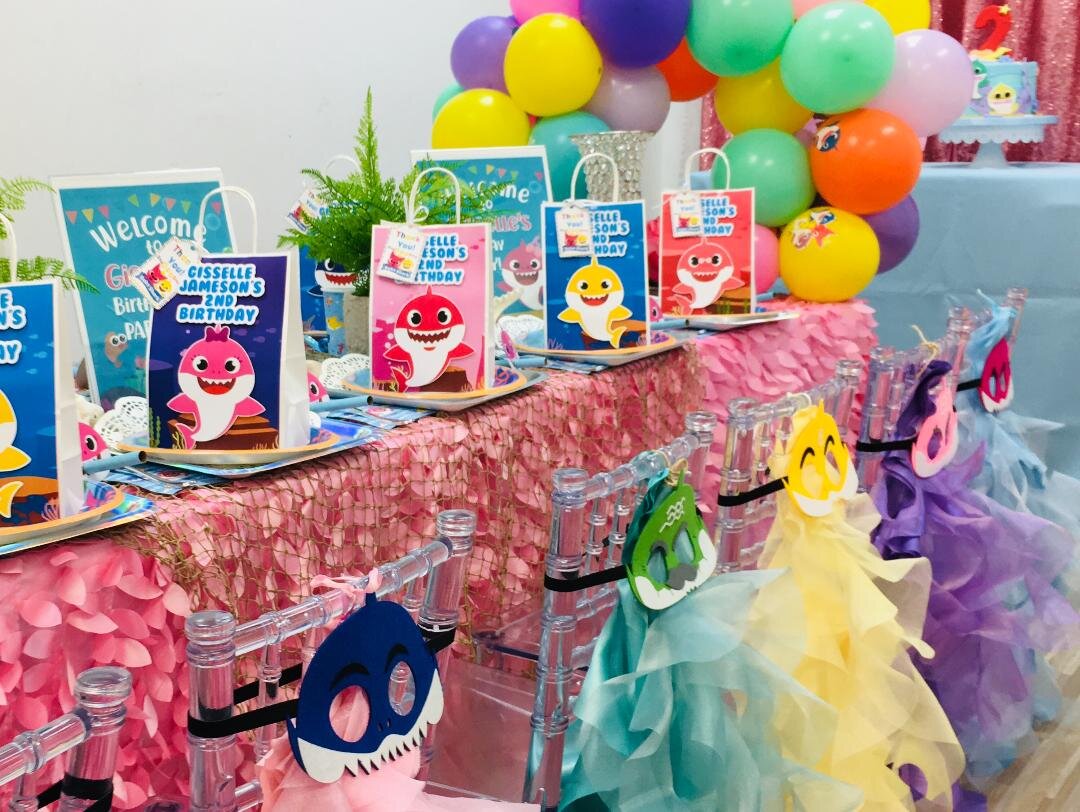 Houston Children's Birthday Party Places and Ideas for Kids Parties, Home Birthday  Parties Delivered — Little Lavish - Houston Kids and Children's Birthday  and Event Party Planner, Kid's Parties Chair Rentals, Decorators
