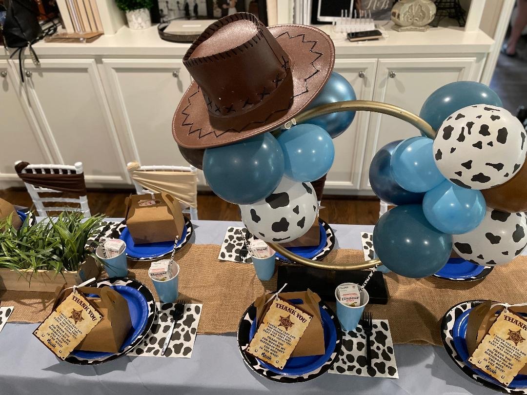 houston kids western cowboy birthday party 2.jpg