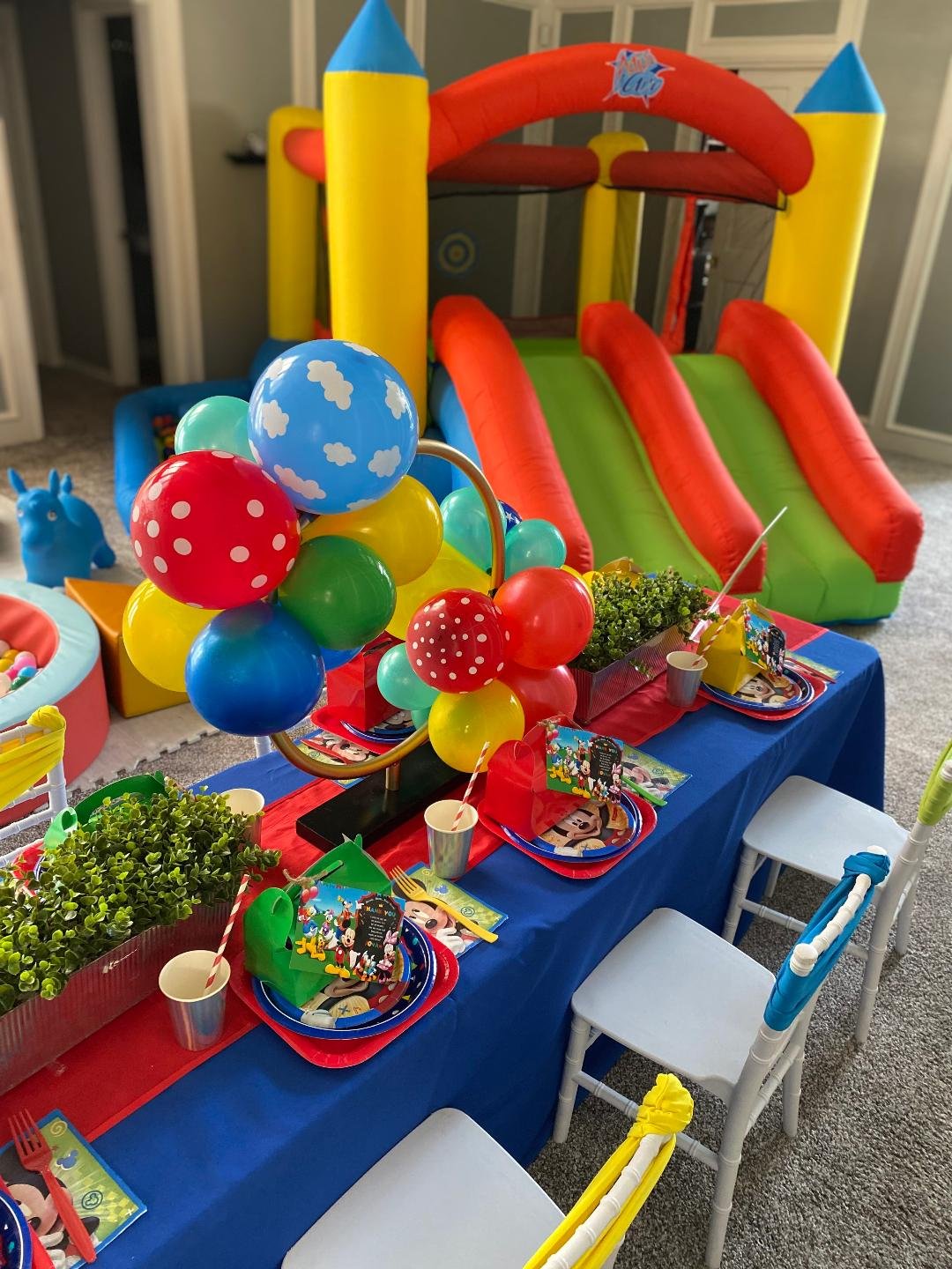 houston kids birthday party 1.jpg