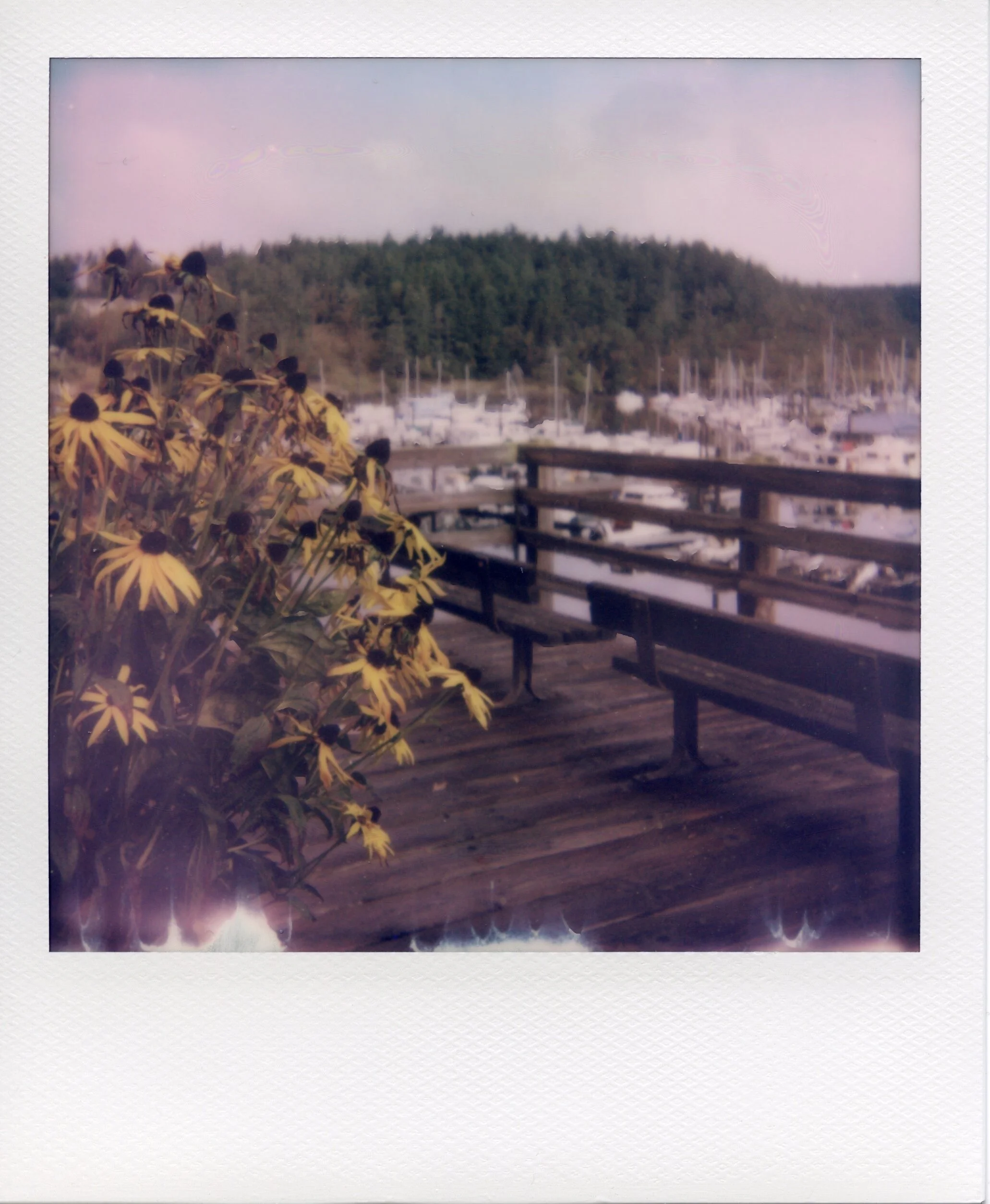 ICR Polaroids 20210112_18374719_21.jpeg