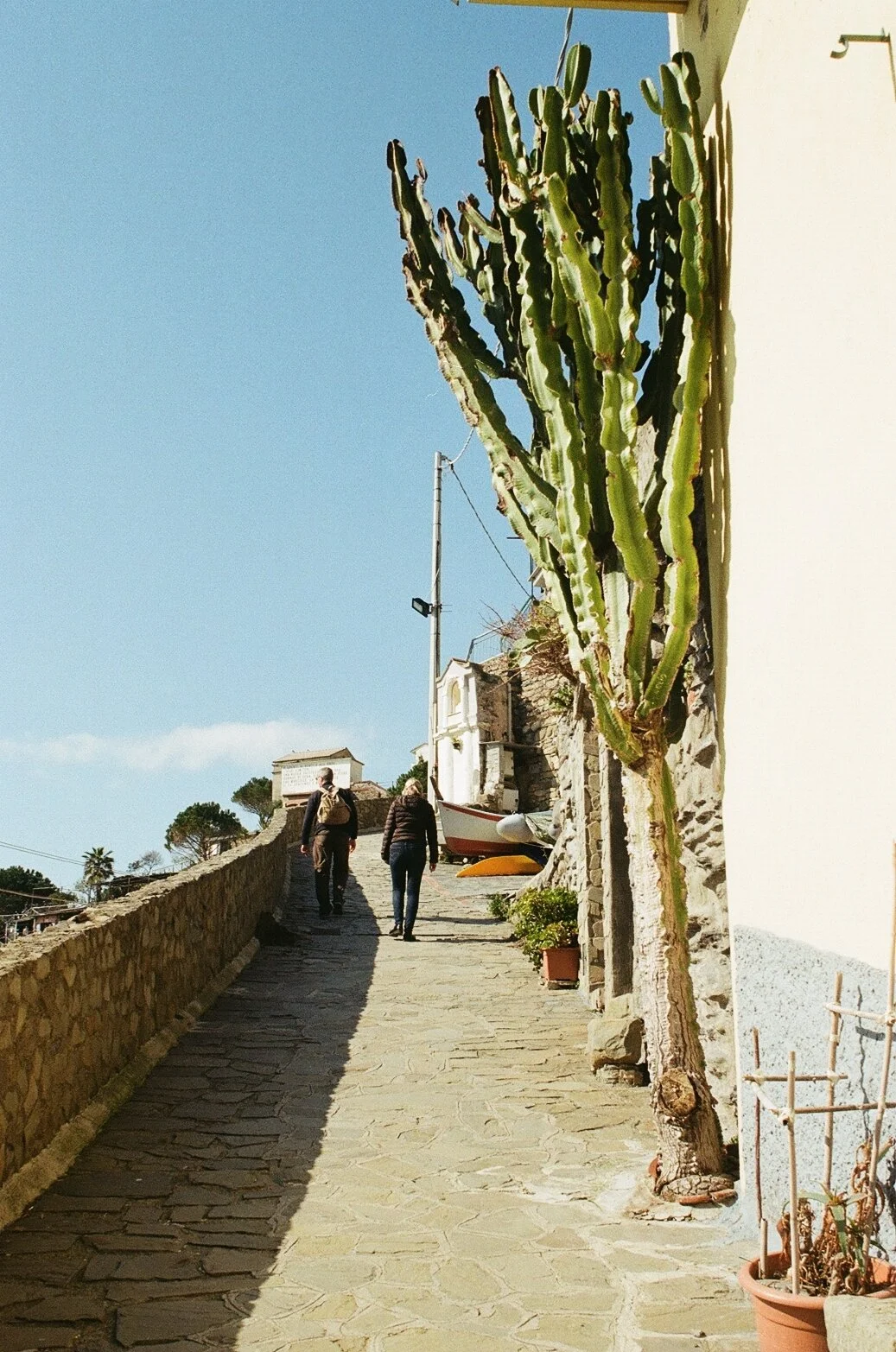 Cinque Terre 15.jpg