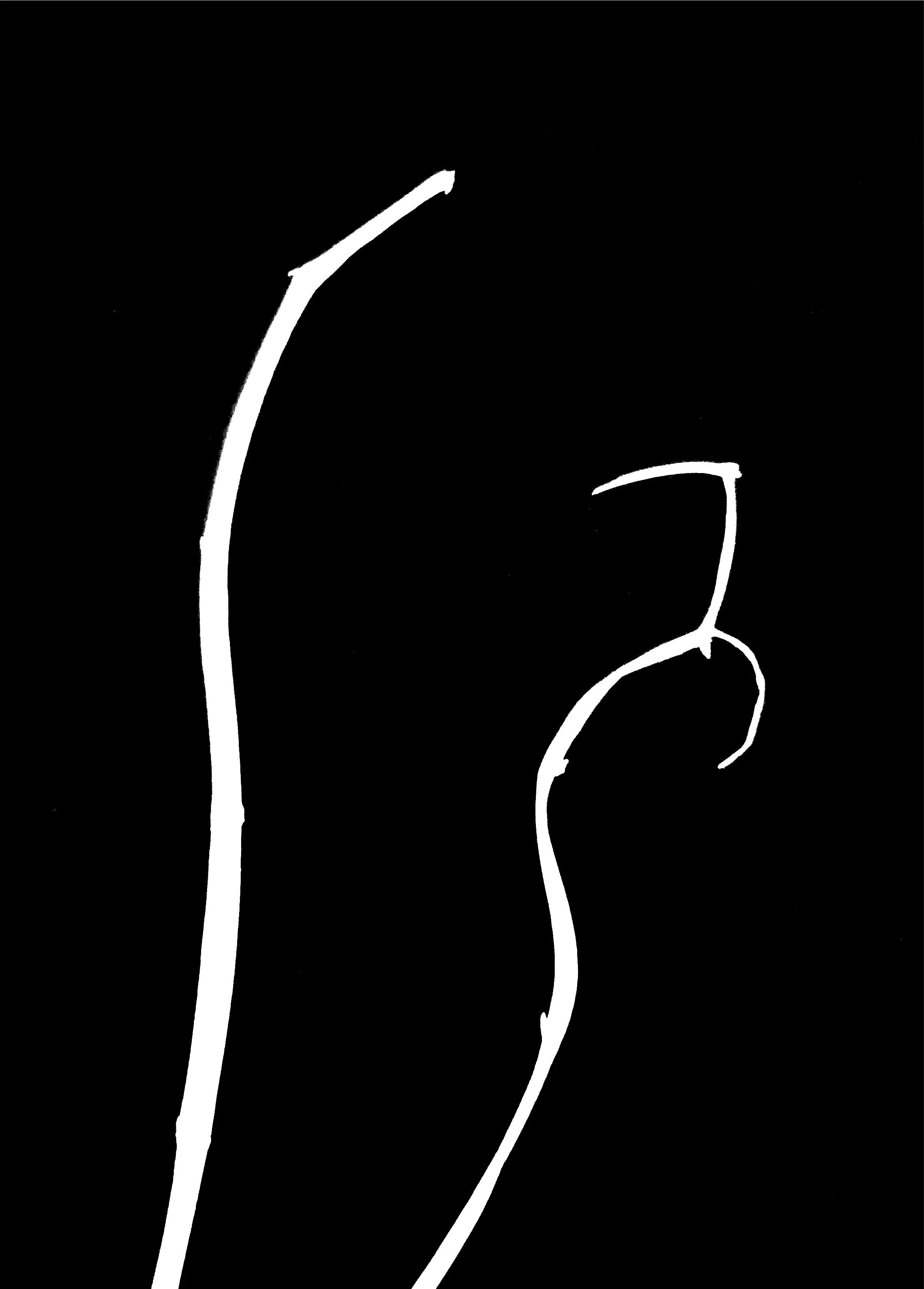 Photogram 1 copy 5.jpg