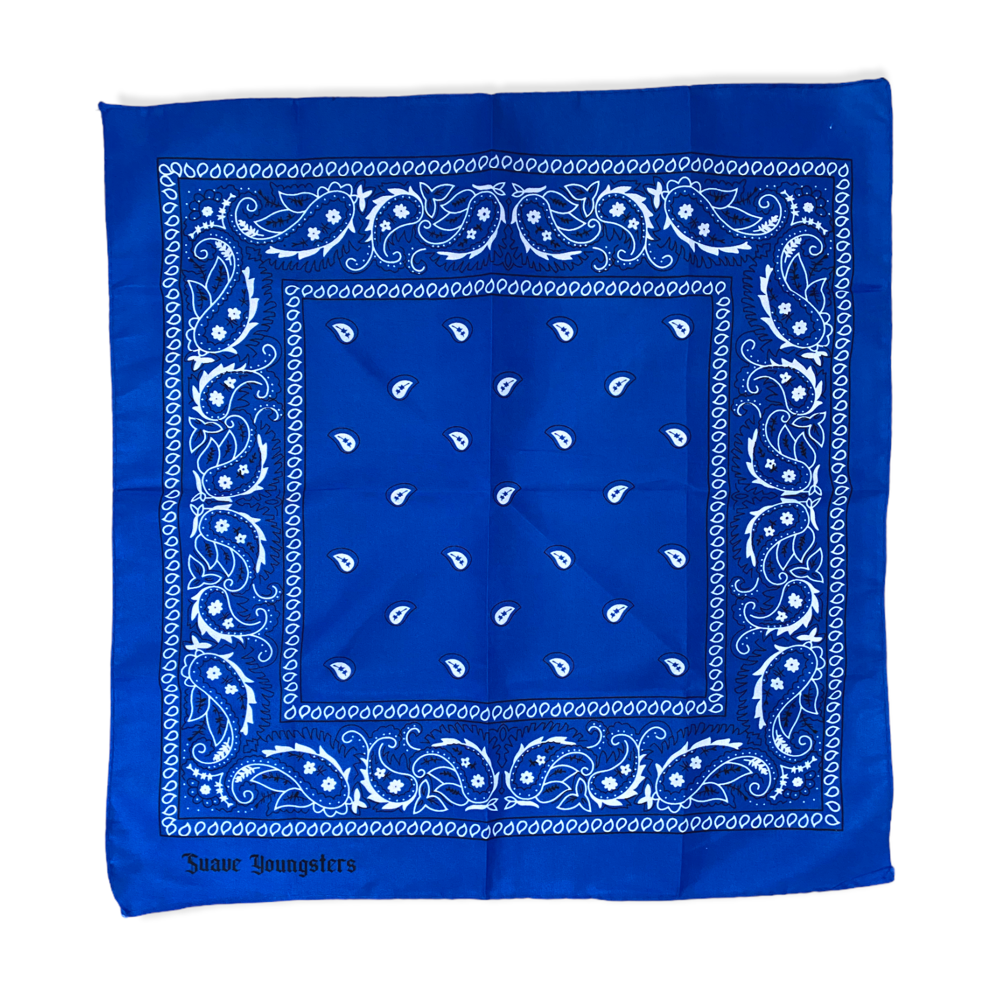 A2FA4B90-DC5F-442D-8028-8CB8F15A75E0