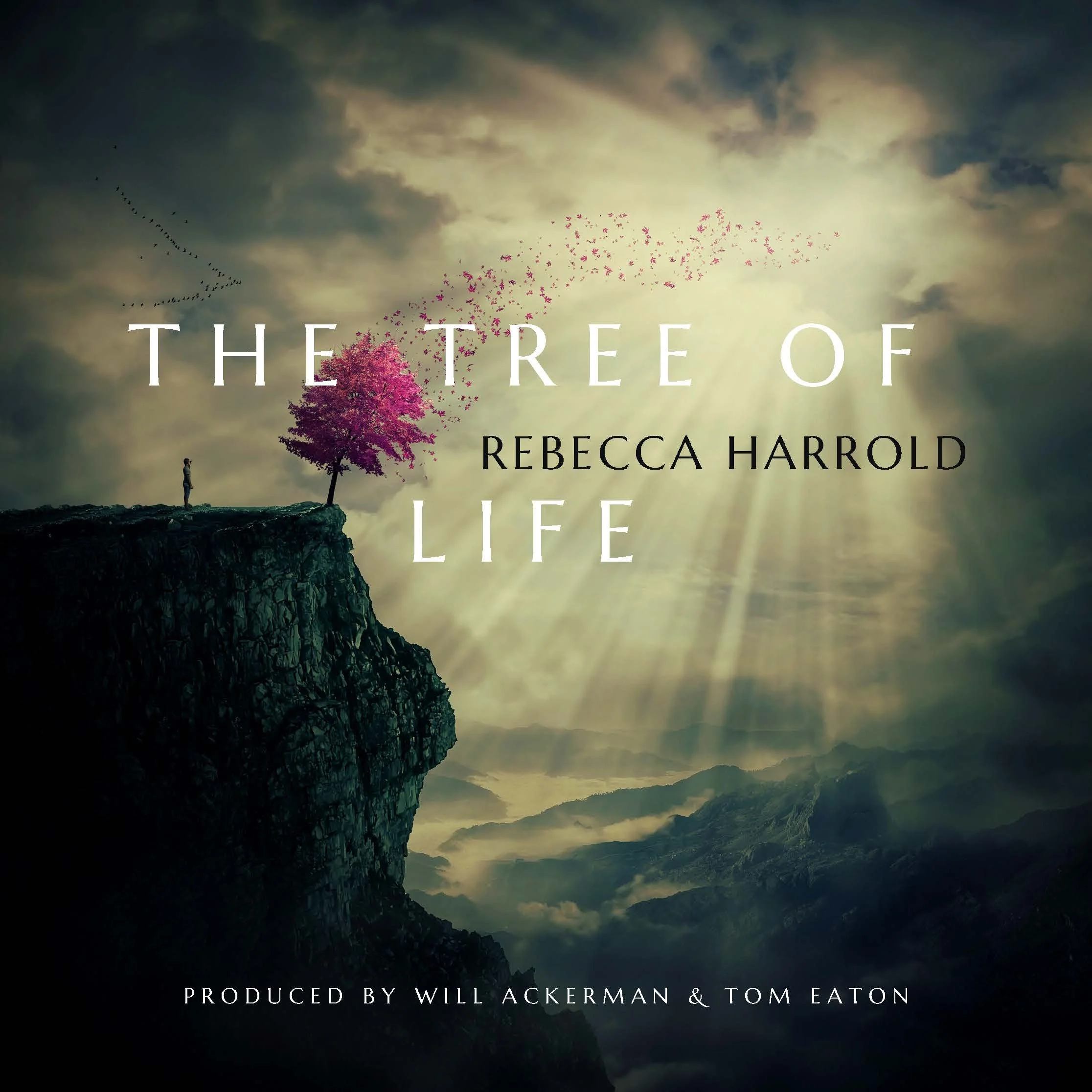 Хочешь сделай шаг мы на обрыве. Человек на обрыве. Человек шагающий в пропасть. Человек на краю обрыва. Парочка на обрыве.